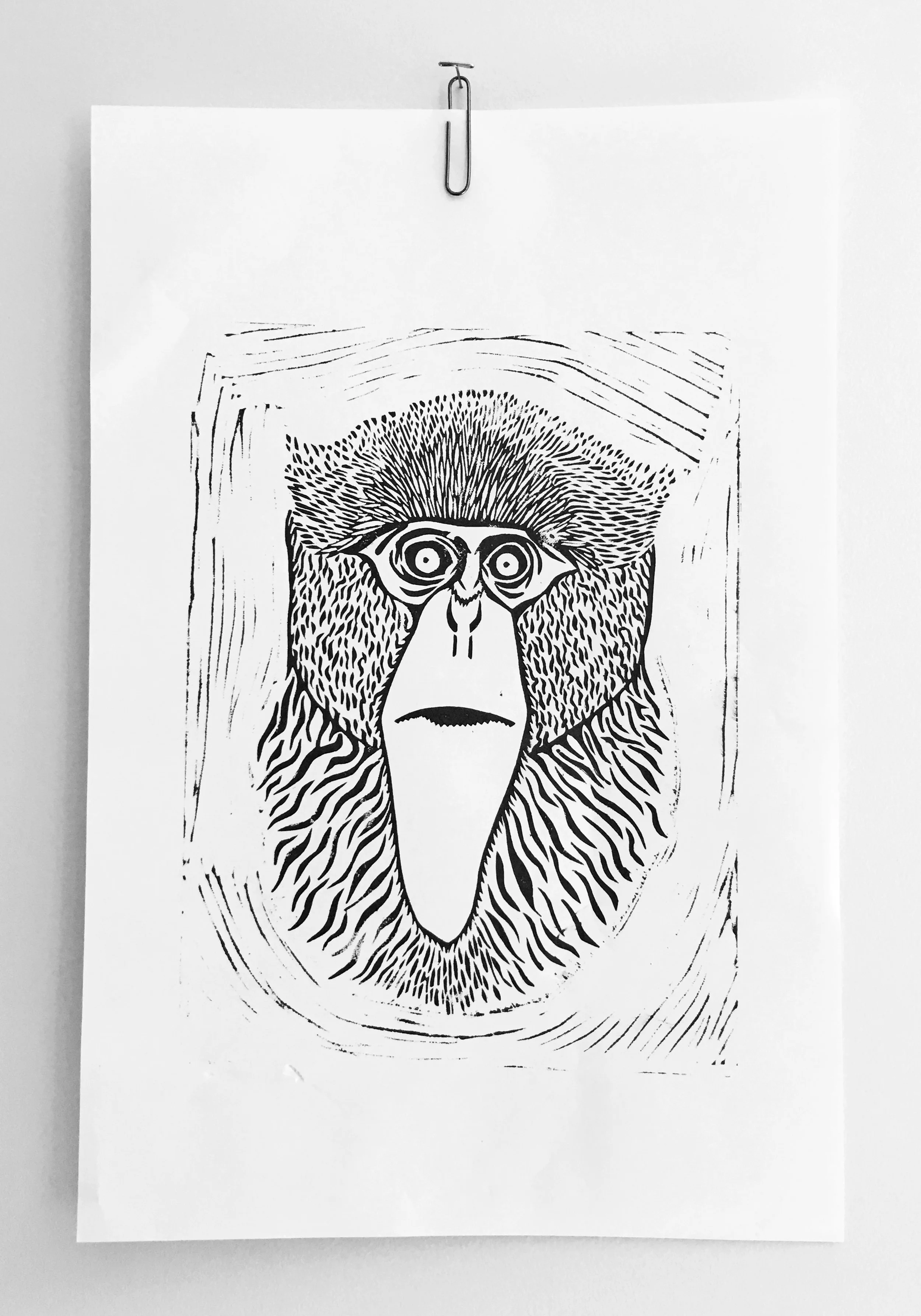 DeBrazza's Monkey Print