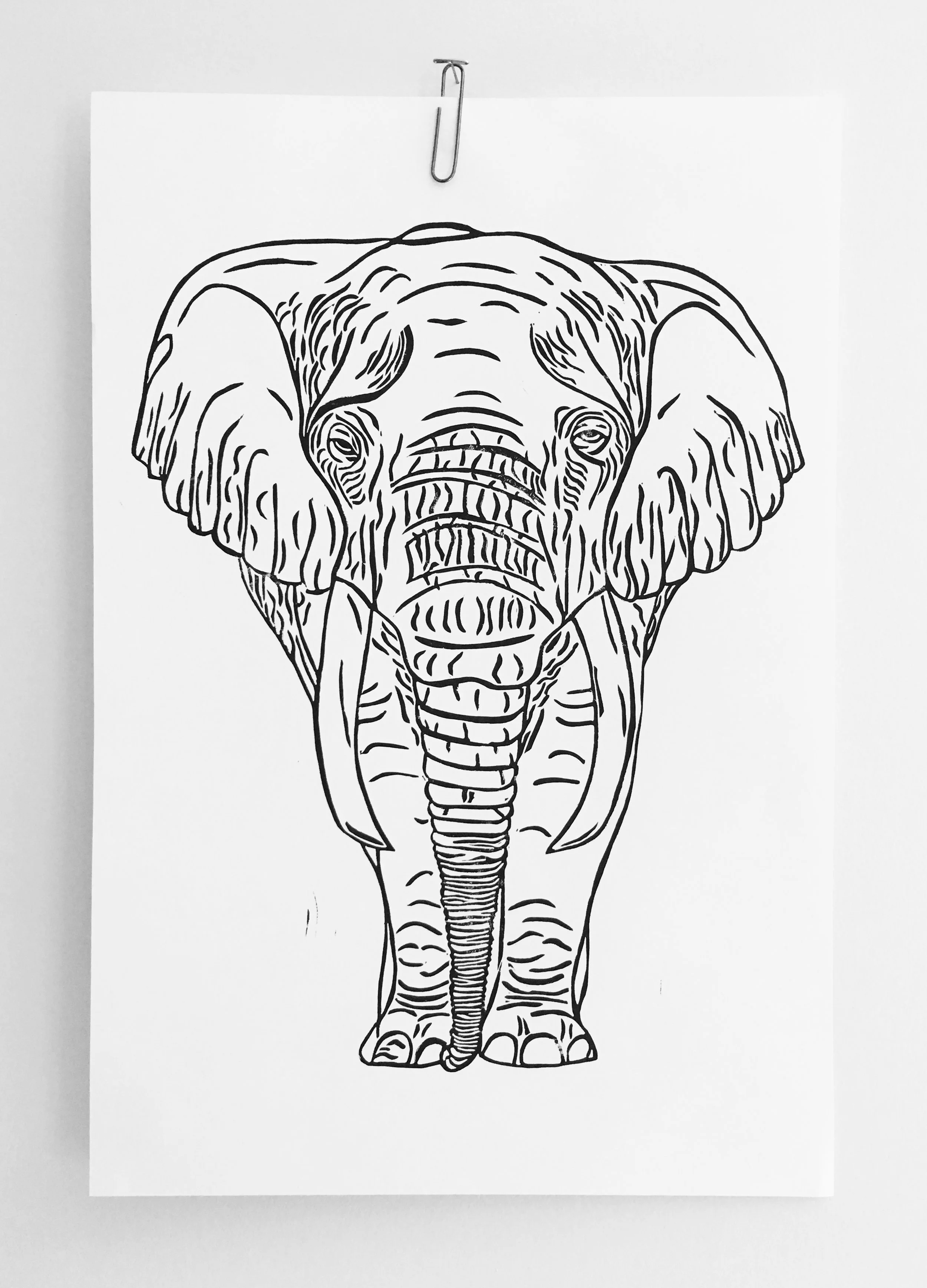 African Elephant Print