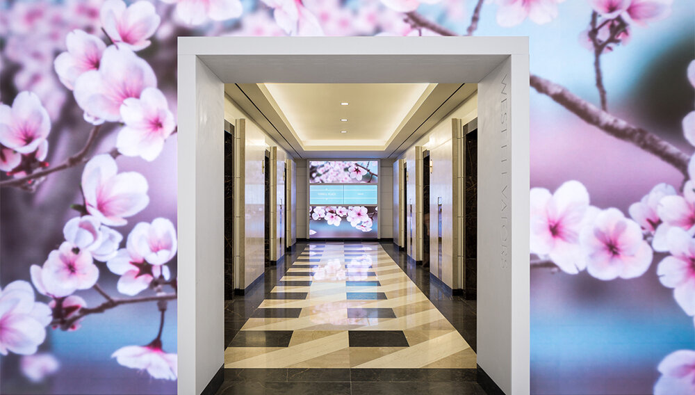 interactive-architecutre-1.jpg