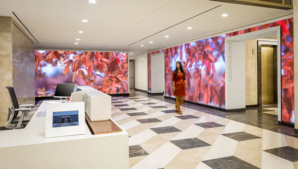 interactive-architecture-5.jpg
