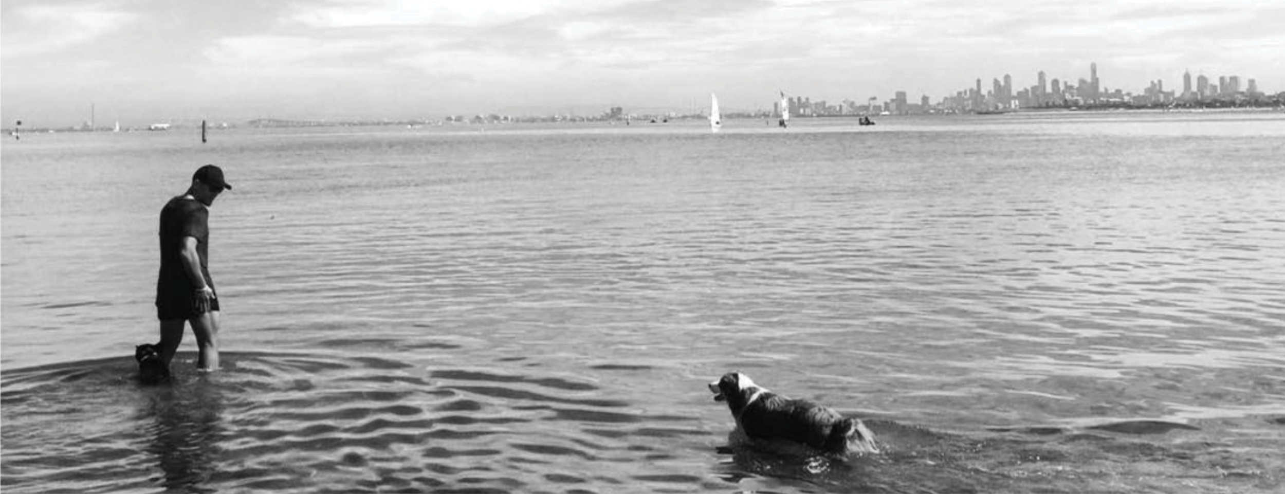 Banner_Website_Greyscale.png