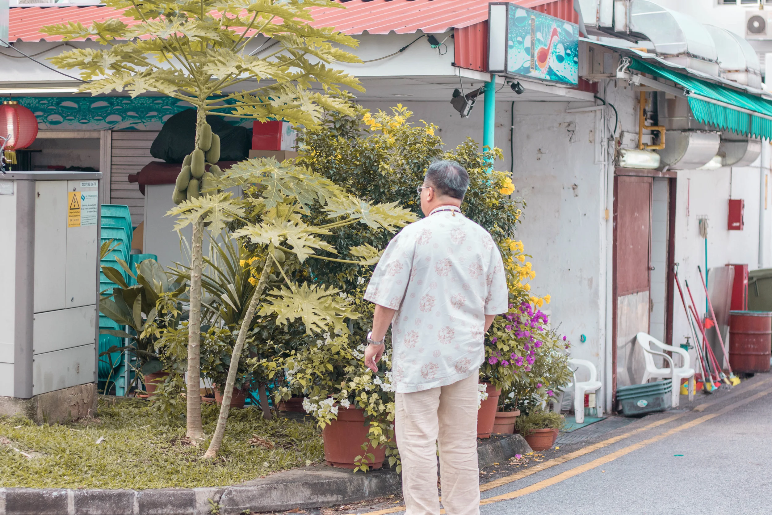 tiong bahru with jojo (43 of 54).jpg