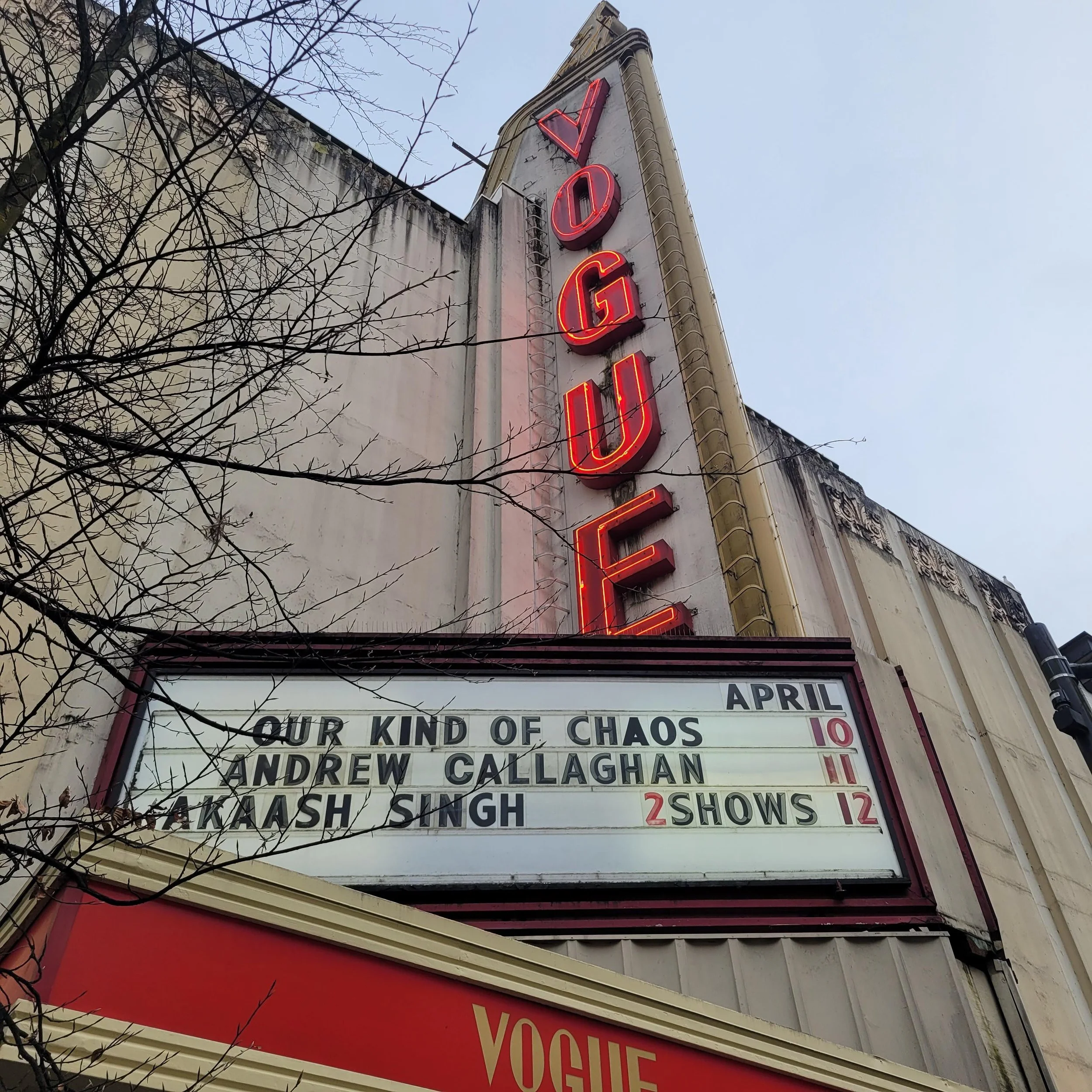 shared image (5).jpeg