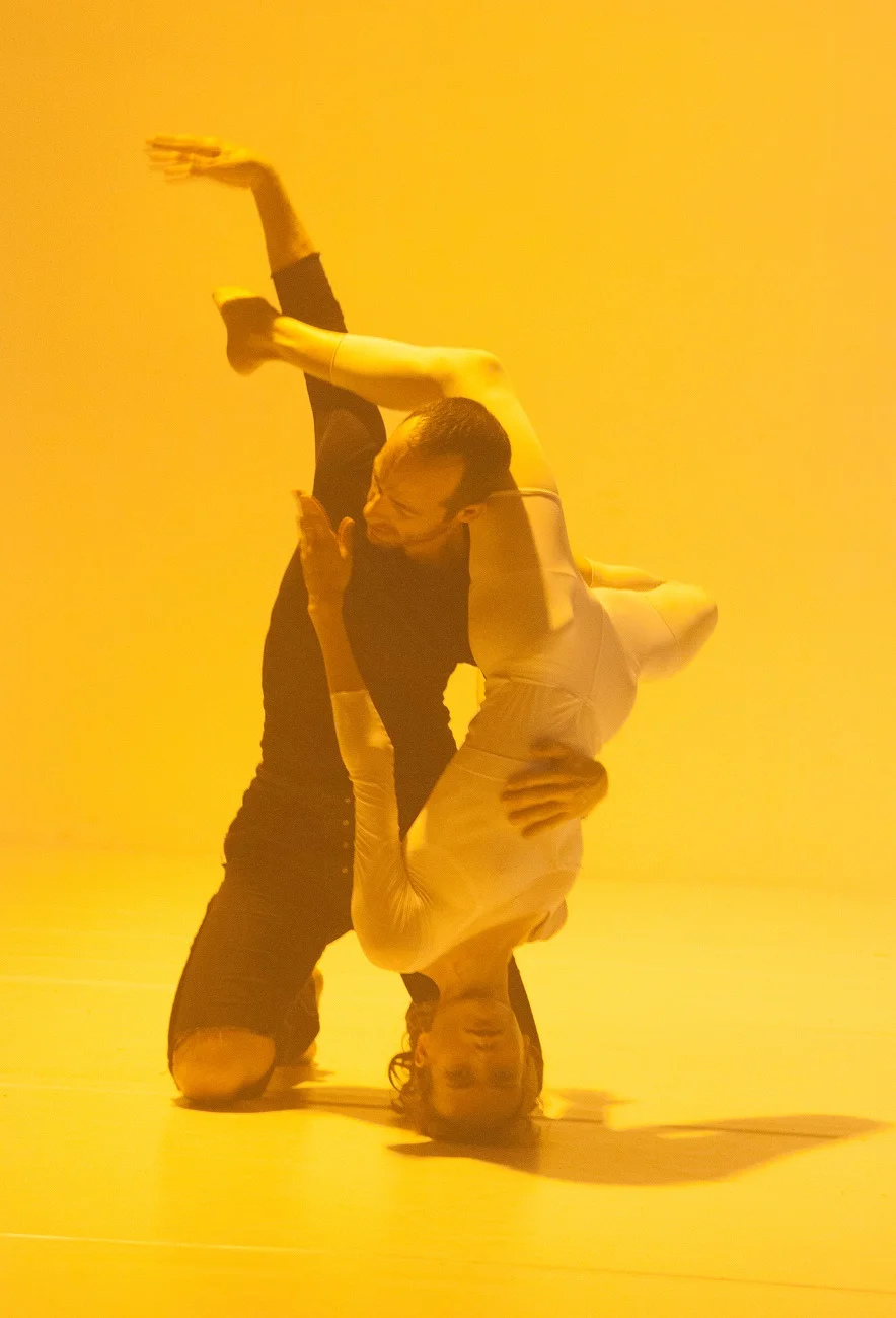 Hillel Kogan episode artwork
