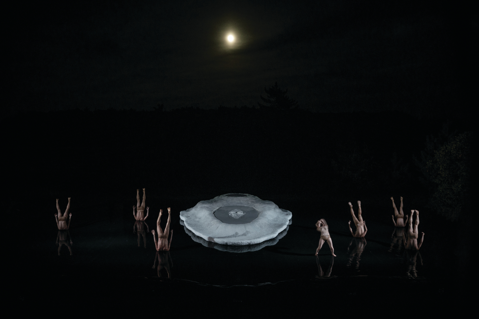 Image from Vessel