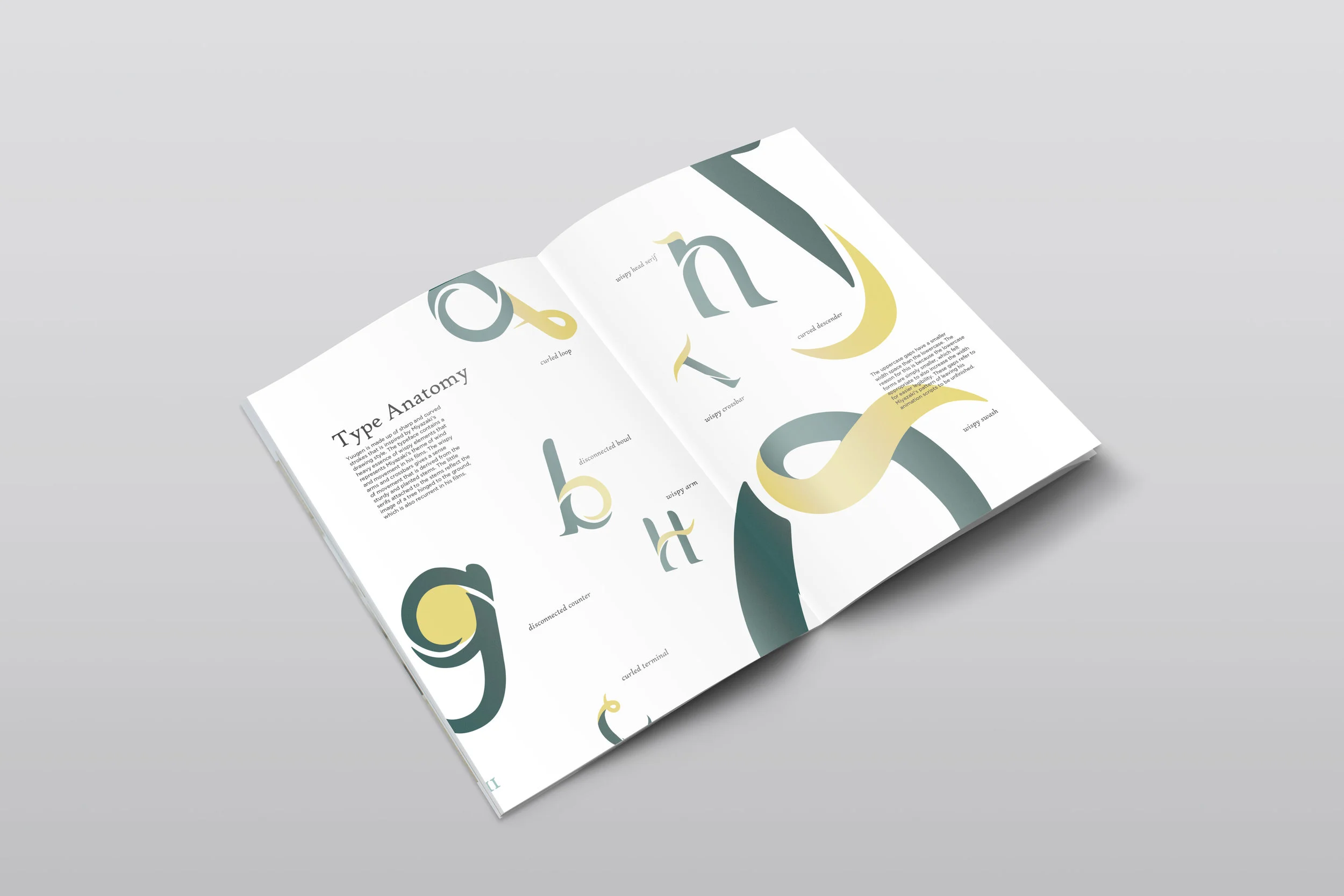 type anatomy mockup.jpg
