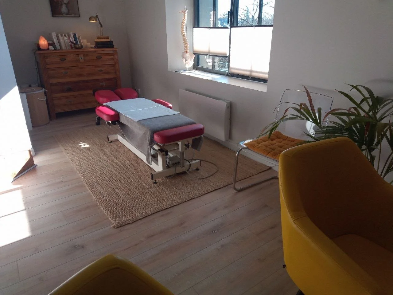 ostéopathe chemillé en Anjou.jpeg