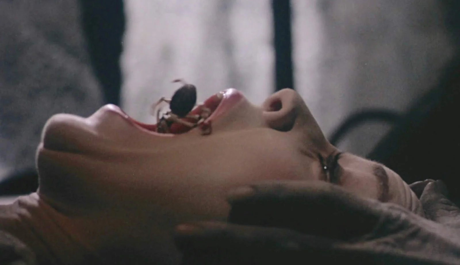 January Screening - Deadly Blessing