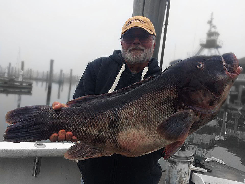 New Jersey Blackfish Tautog Fishing Spots