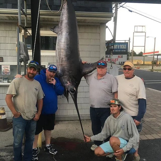 Fishin' Fever Fishin' Fever Sportfishing Charters, Cape May, NJ