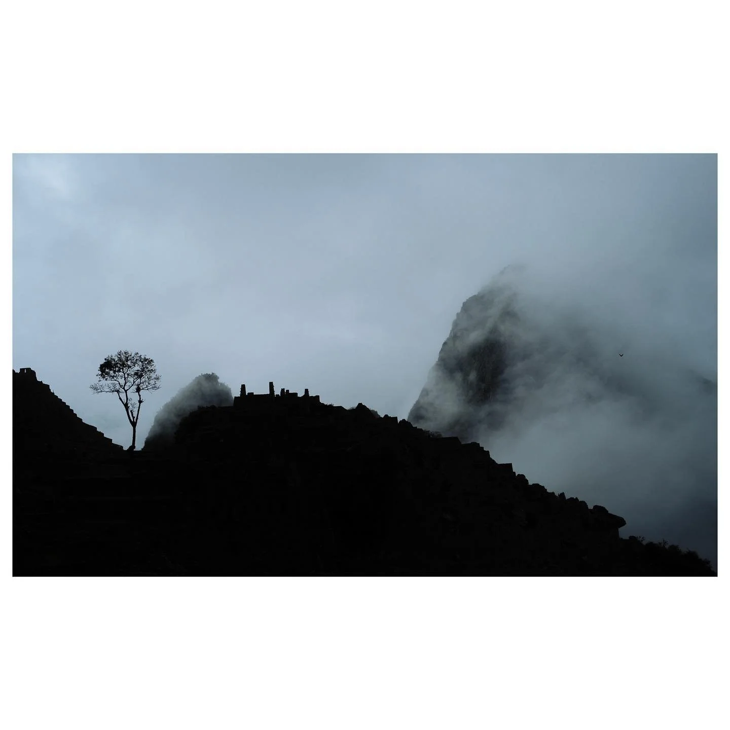 A few photos of a misty morning at Machu Picchu back in October 2023 🇵🇪 
While we waited for the iconic view to reveal itself, I loved capturing the heavy clouds moving between the ruins and the mountains 🏔
Did you spot the bird? 🦅
#machupicchu #