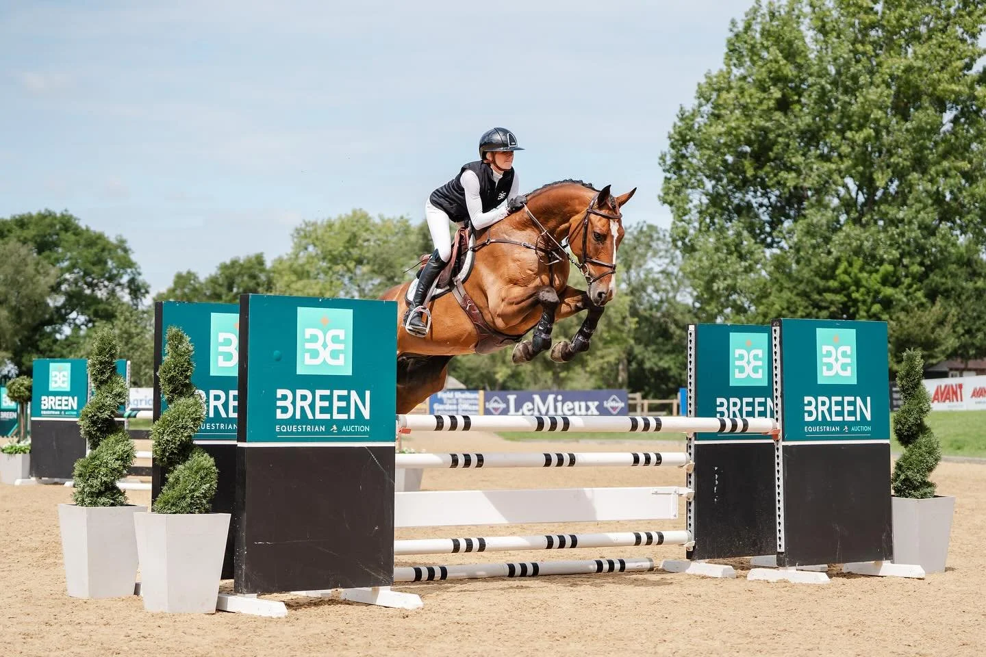 A pleasure as always working for @equisportif 📸 First up - a selection of the lovely horses for the upcoming @thebreenteam auction 💙