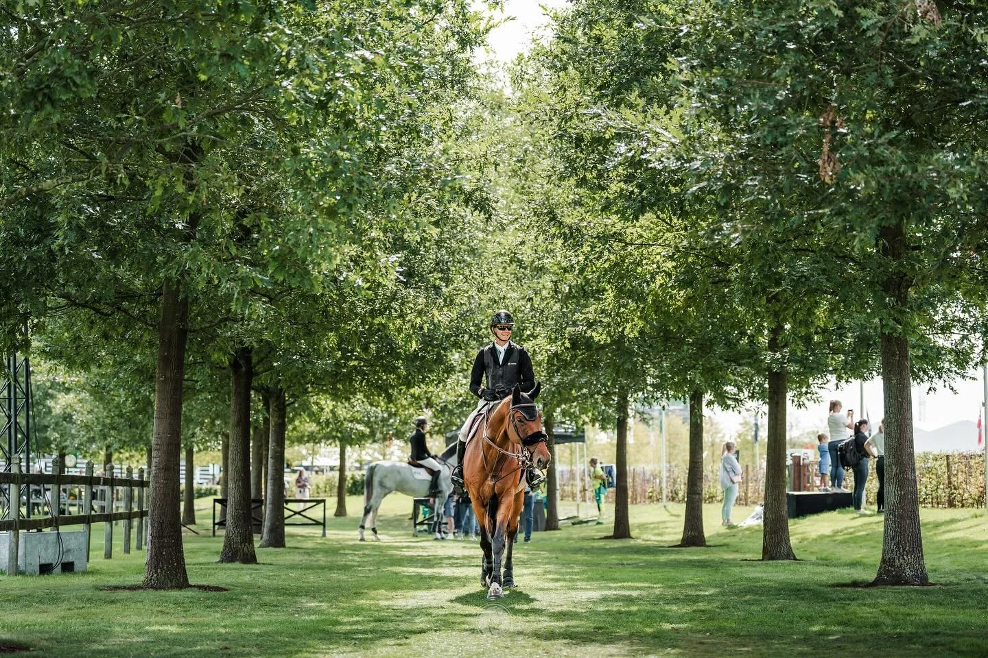 Just a few of the many photos I captured working for @equisportif at @brussels_stephex_masters in August. Such a beautiful show!!🌳☀️