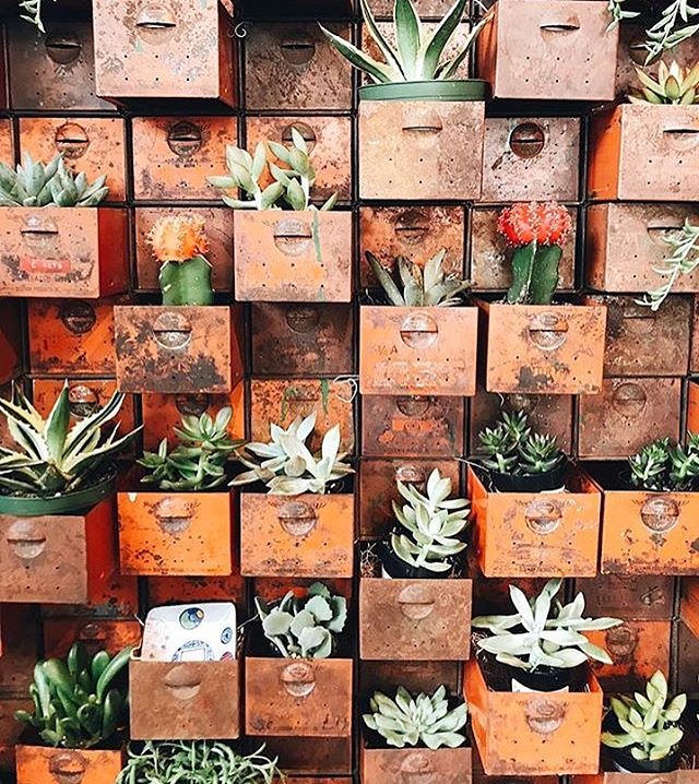 Who else just loves this idea? Find quirky ways to bring old pieces to life and make your home your own. A little extra greenery is always welcome! 🌿  Take a browse through our centre and courtyard in the heart of Milton for beautiful home and lifes