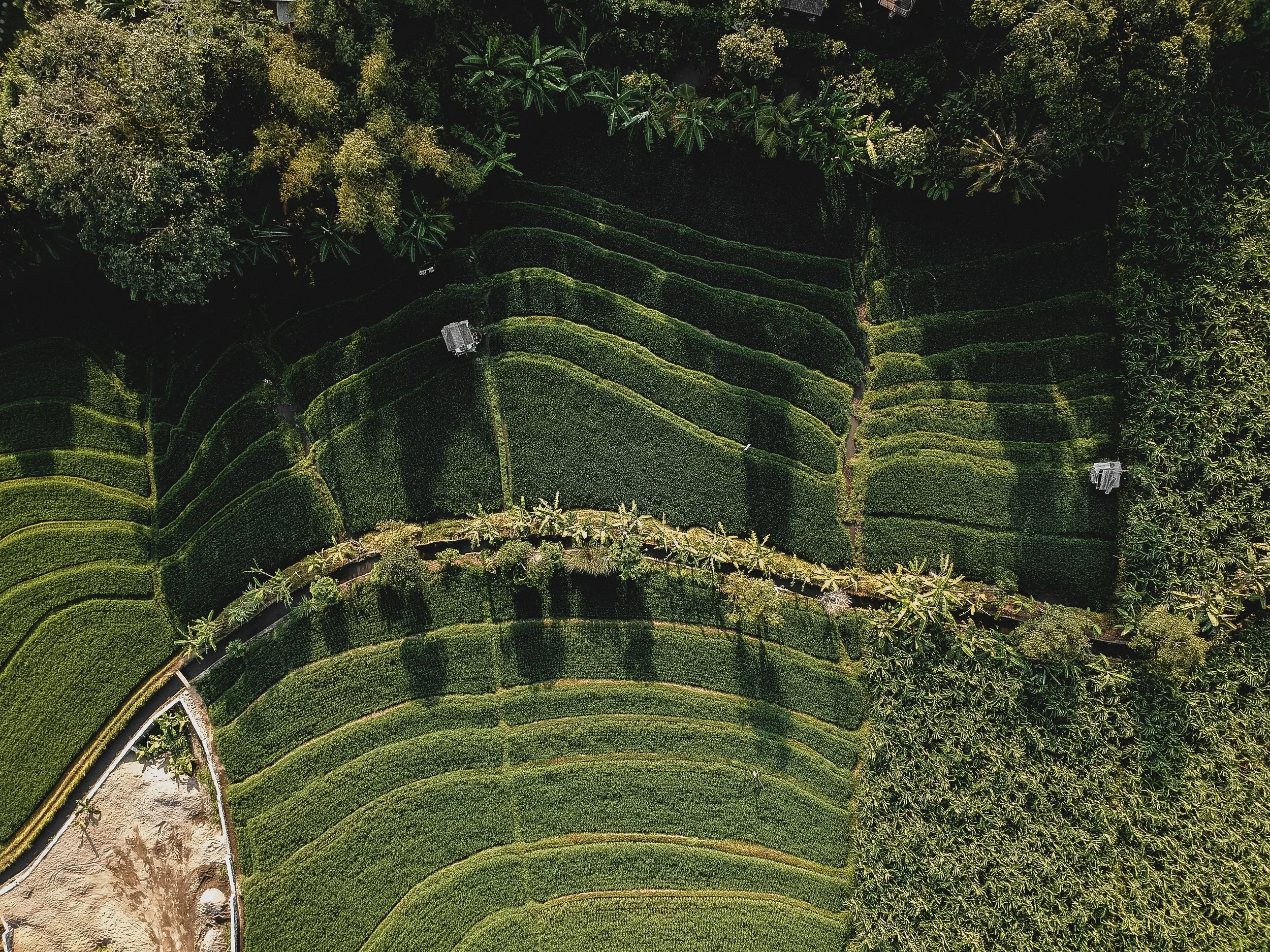 FOOD AND LAND USE COALITION
