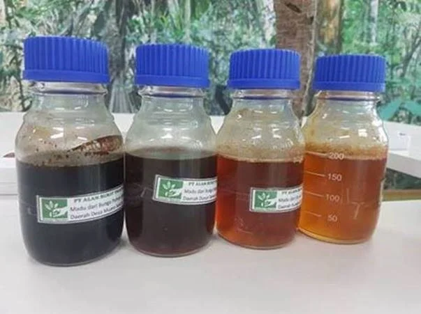 Wild Forest Honey