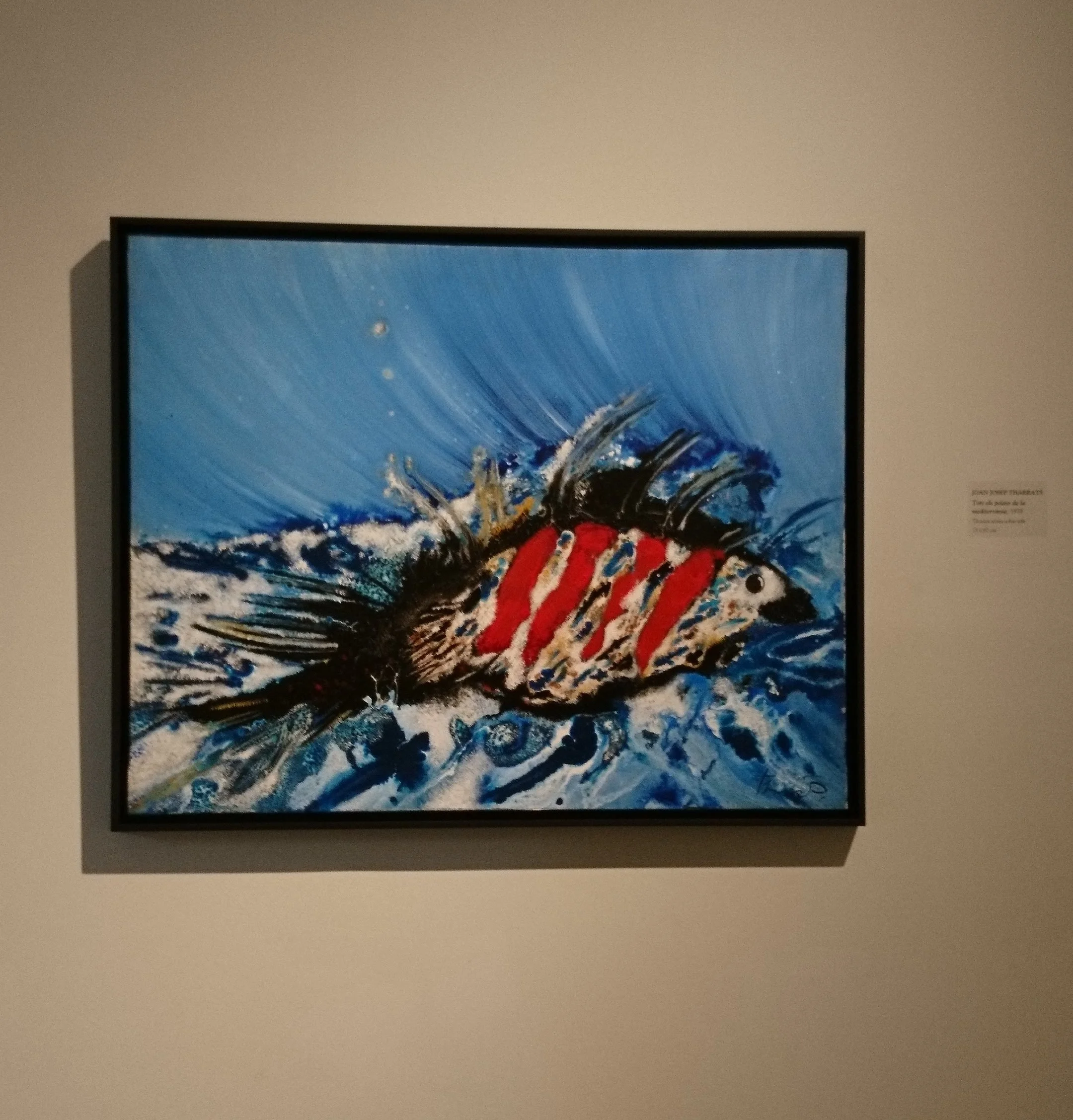 DSC_2682.jpg