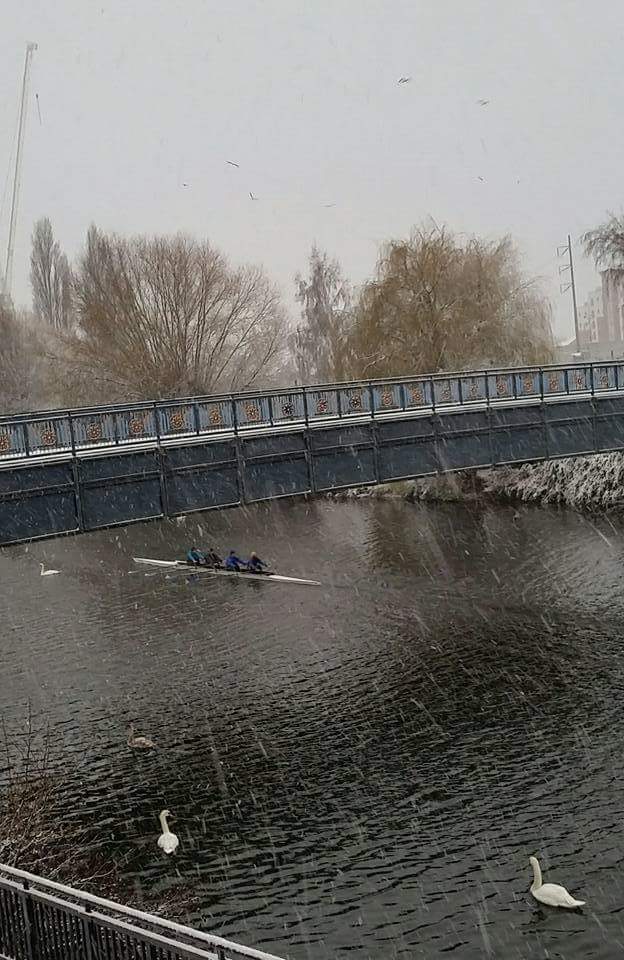 Snowy rowing.jpg