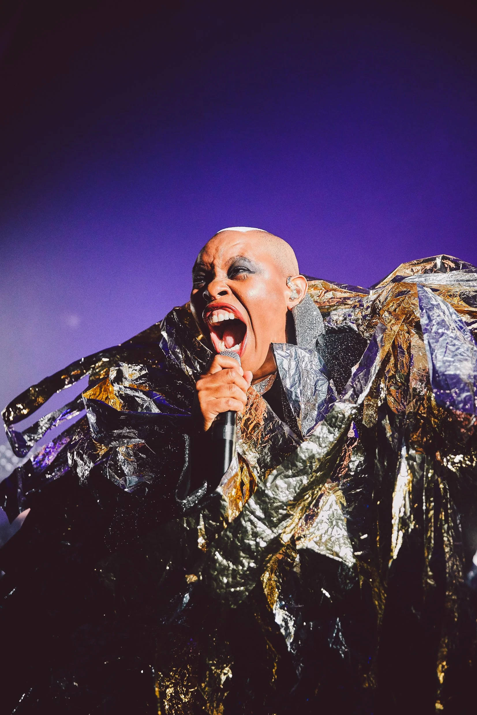 Skunk Anansie_Adam_Barnsley.JPG