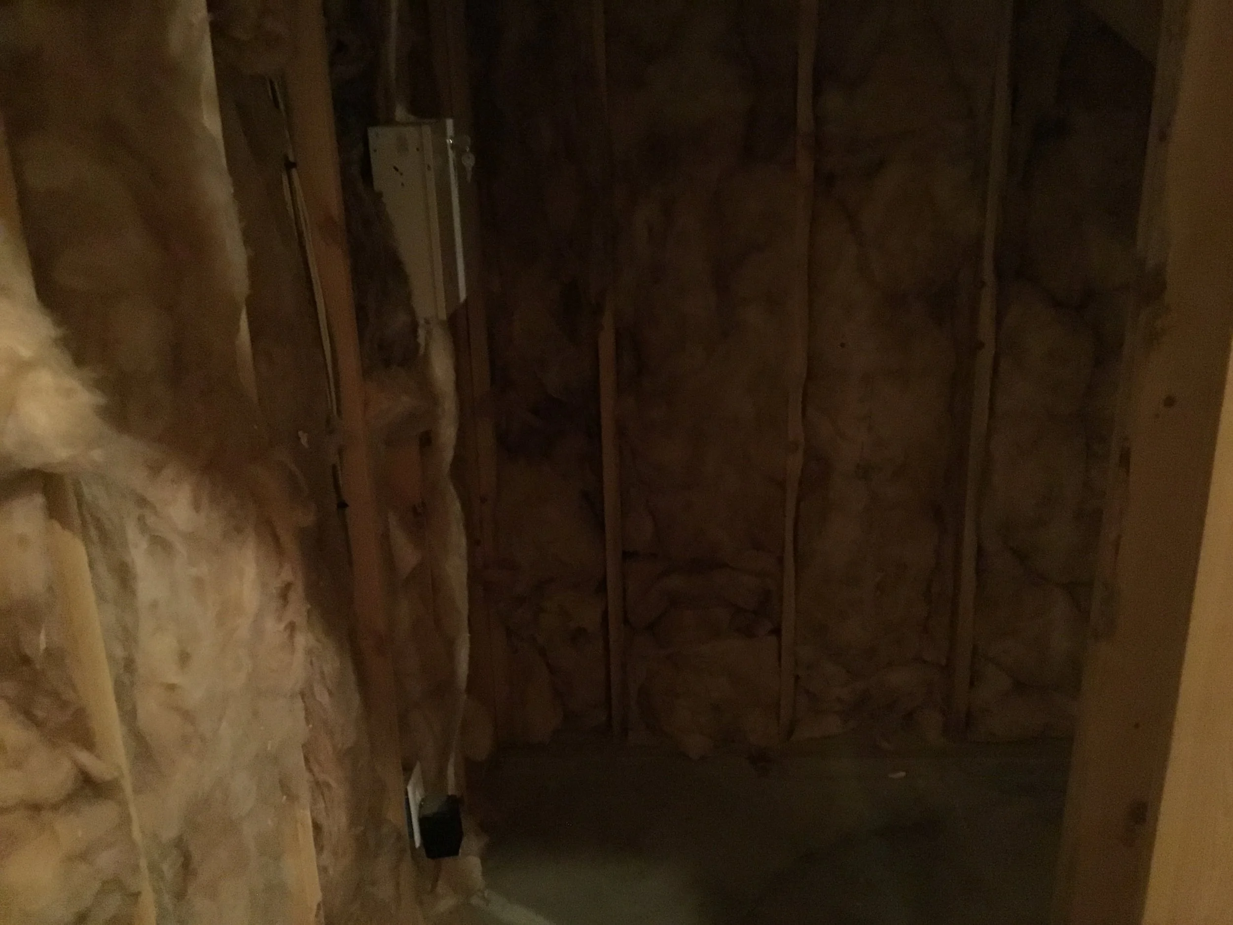 6BC43D7F-0490-45AD-BA55-D47307F02051.jpeg
