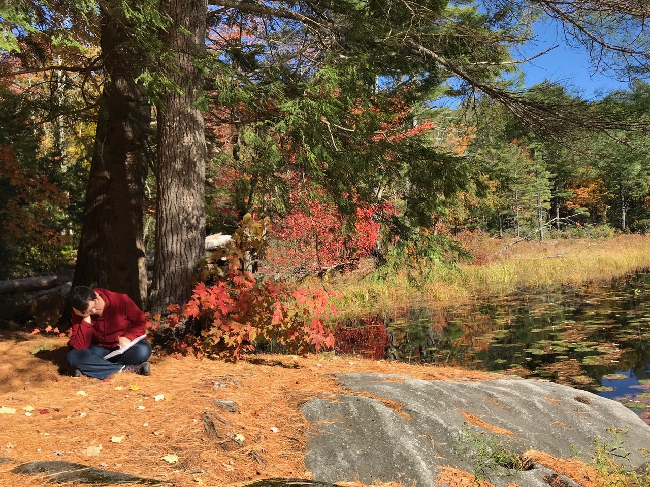 The Permaculture Place, Shelburne Falls, MA