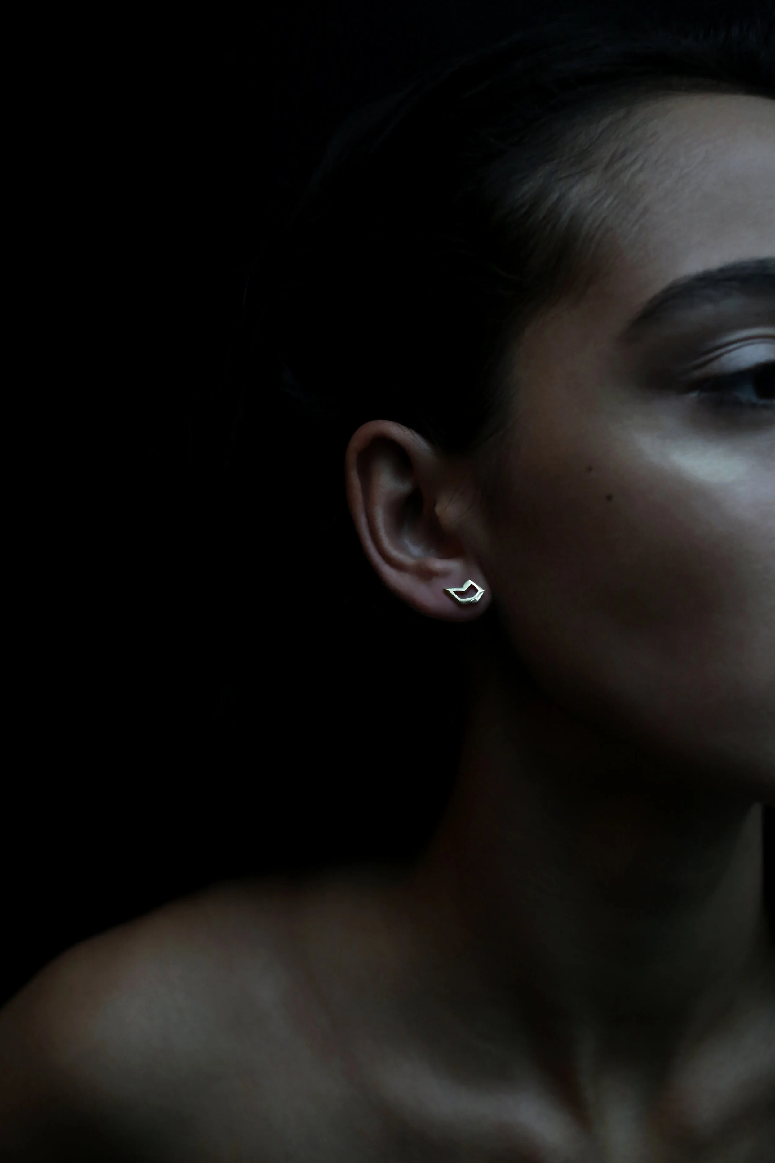 The 'PAFTA' studs • 14ct gold