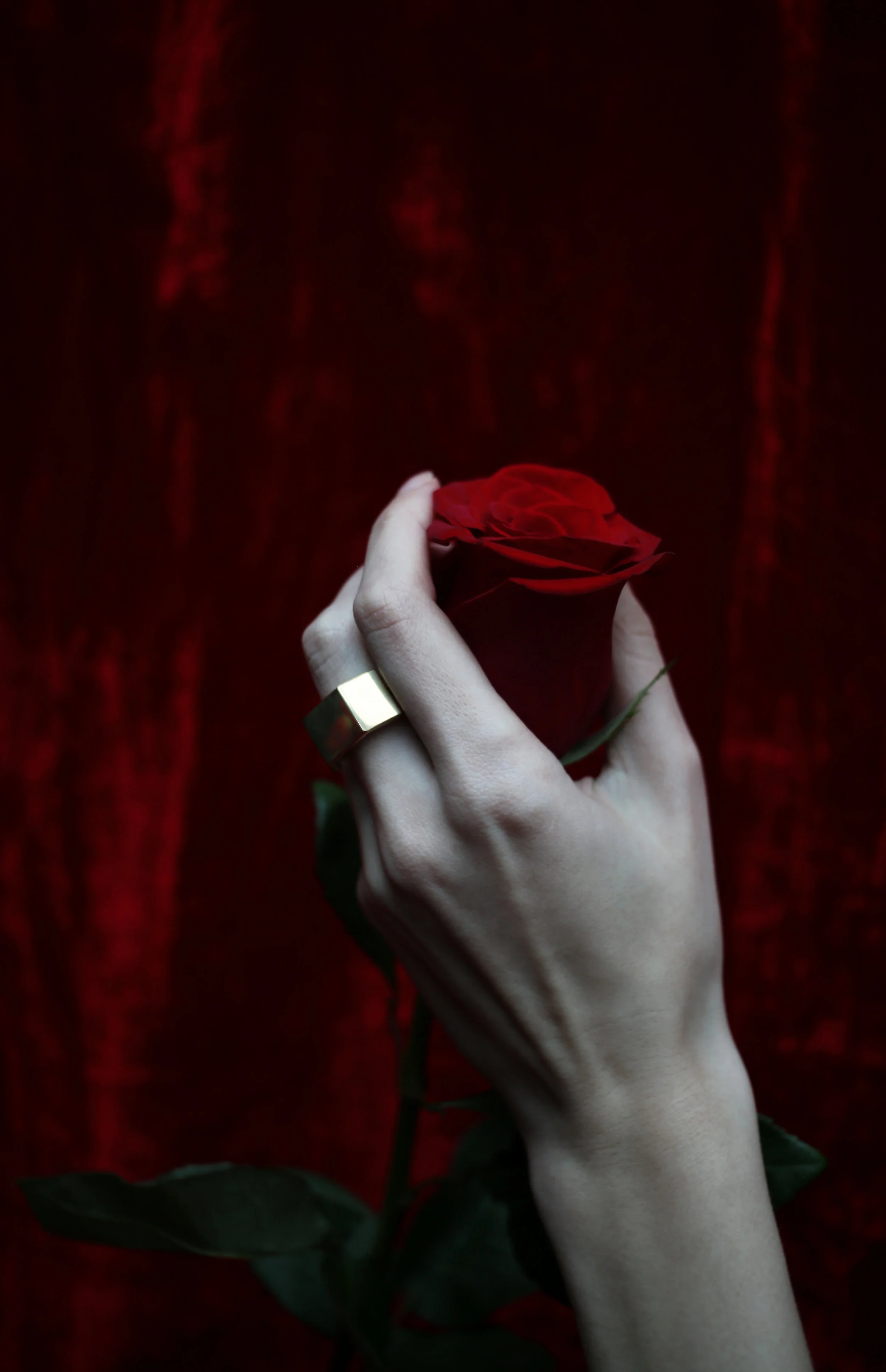 The 'CHRISTA' ring • gold