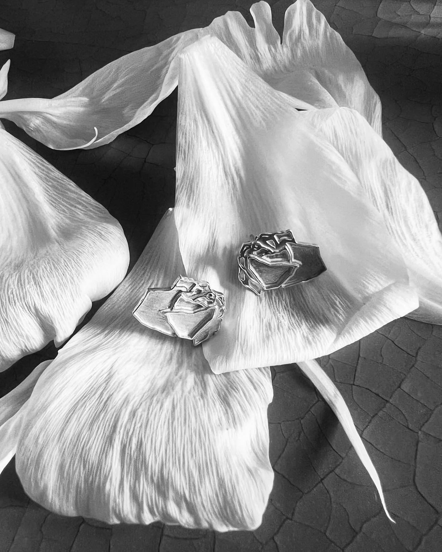 unfolding naturally 🪽 #RosieEarrings