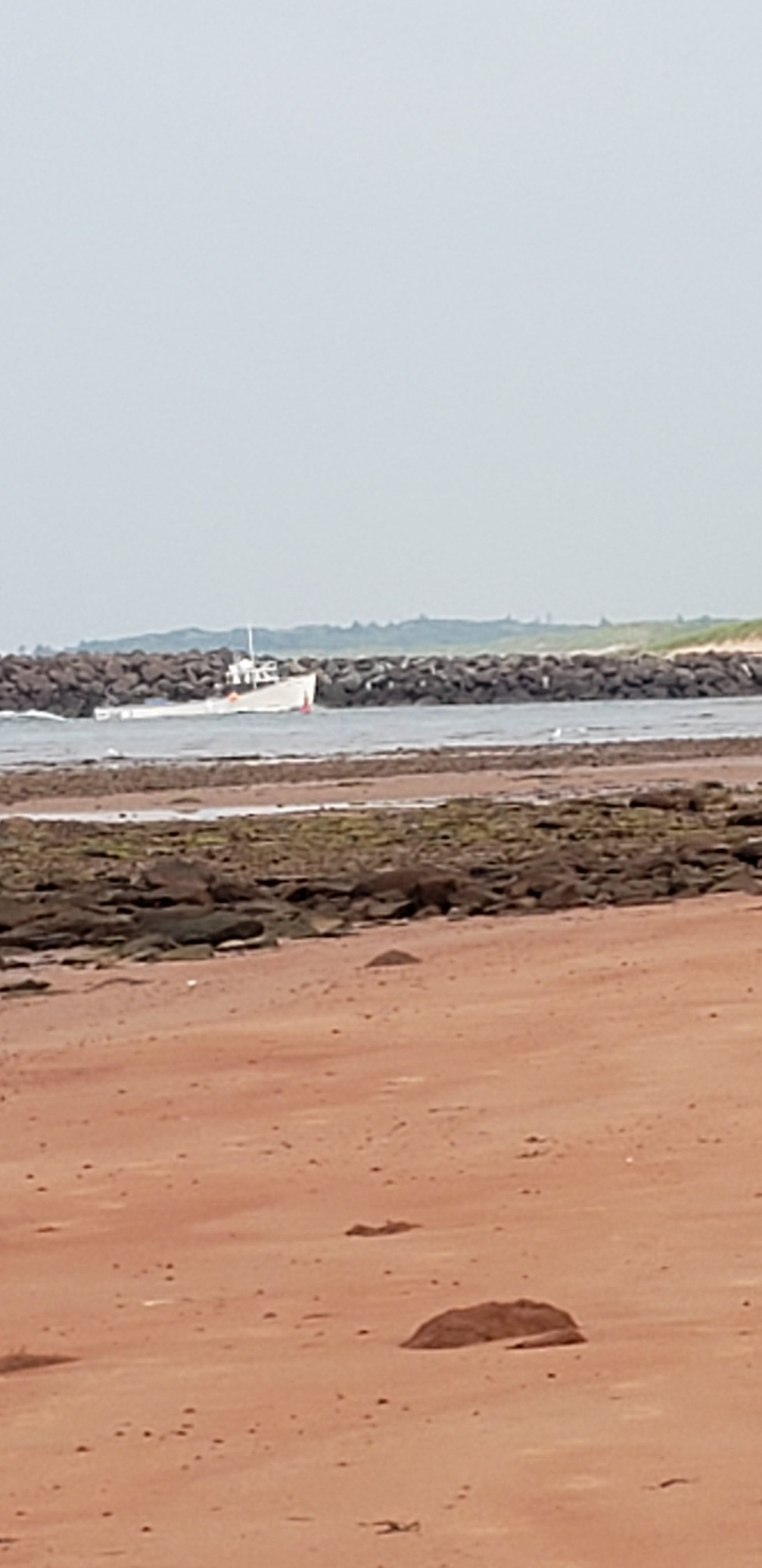 Boat in the Harbour.jpg