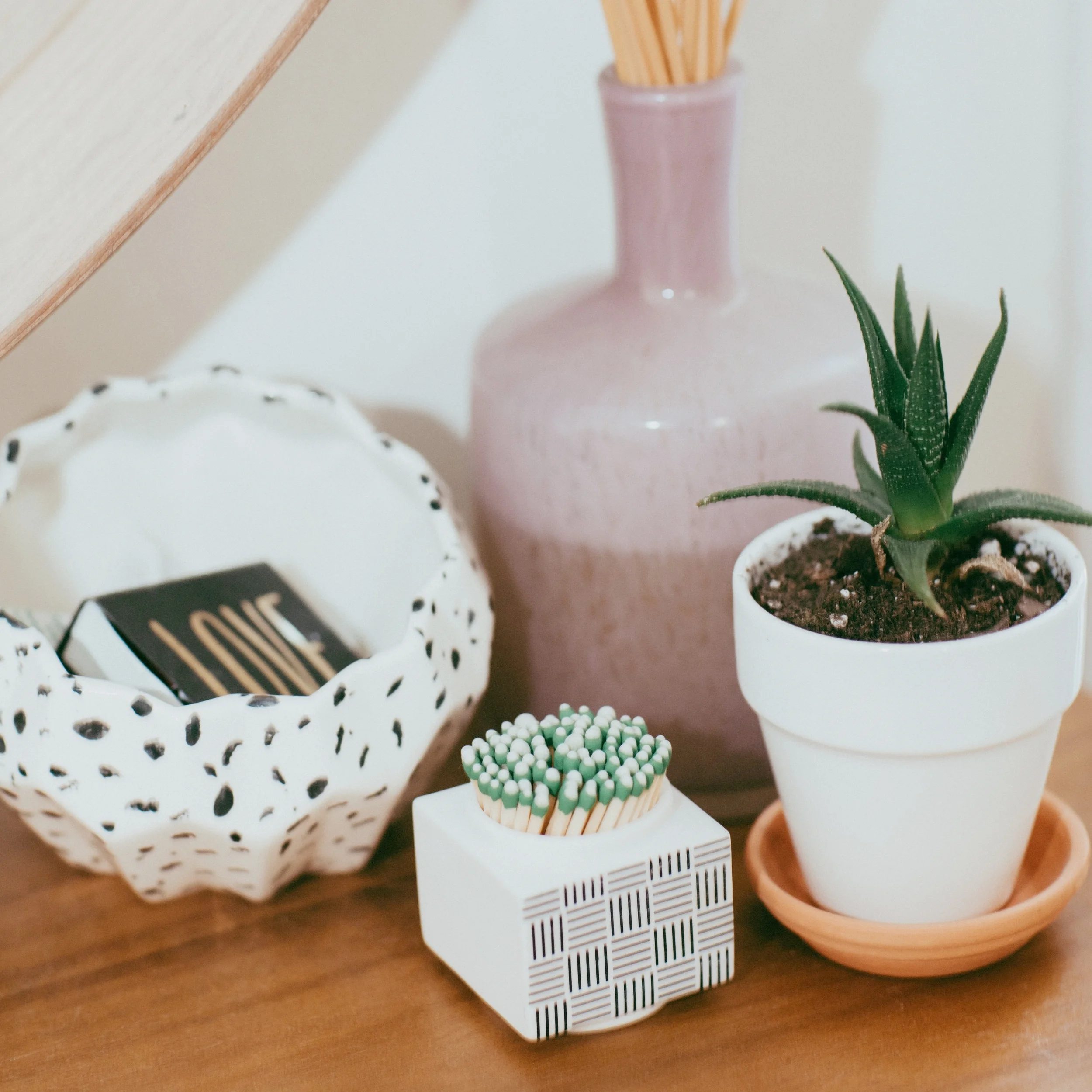 Plant Life