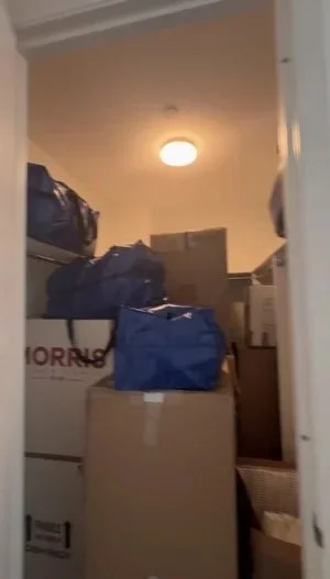 moving before guest bathroom organization shelfie nyc.jpg