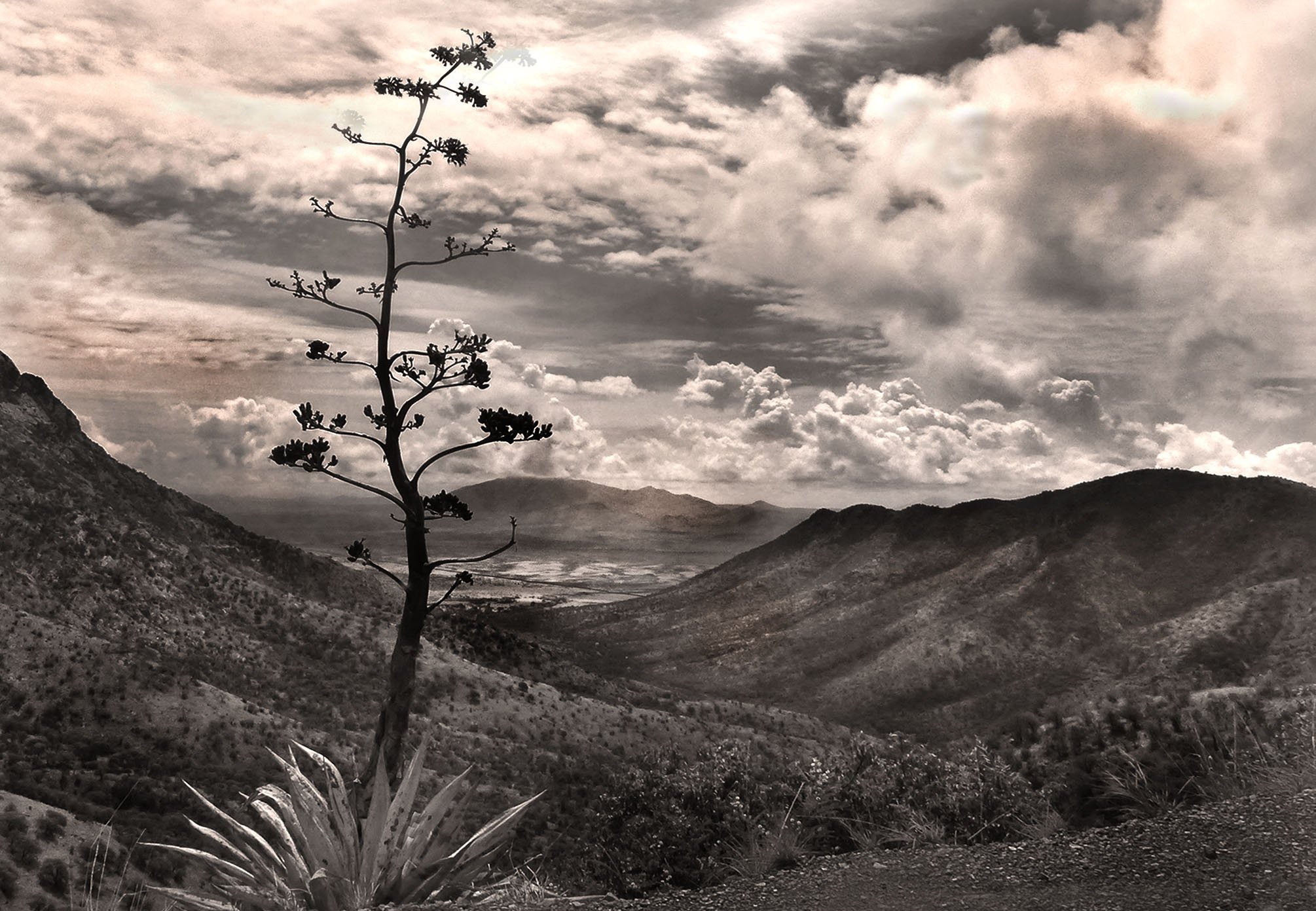 MAHC View from the HUACHUCAS.jpeg