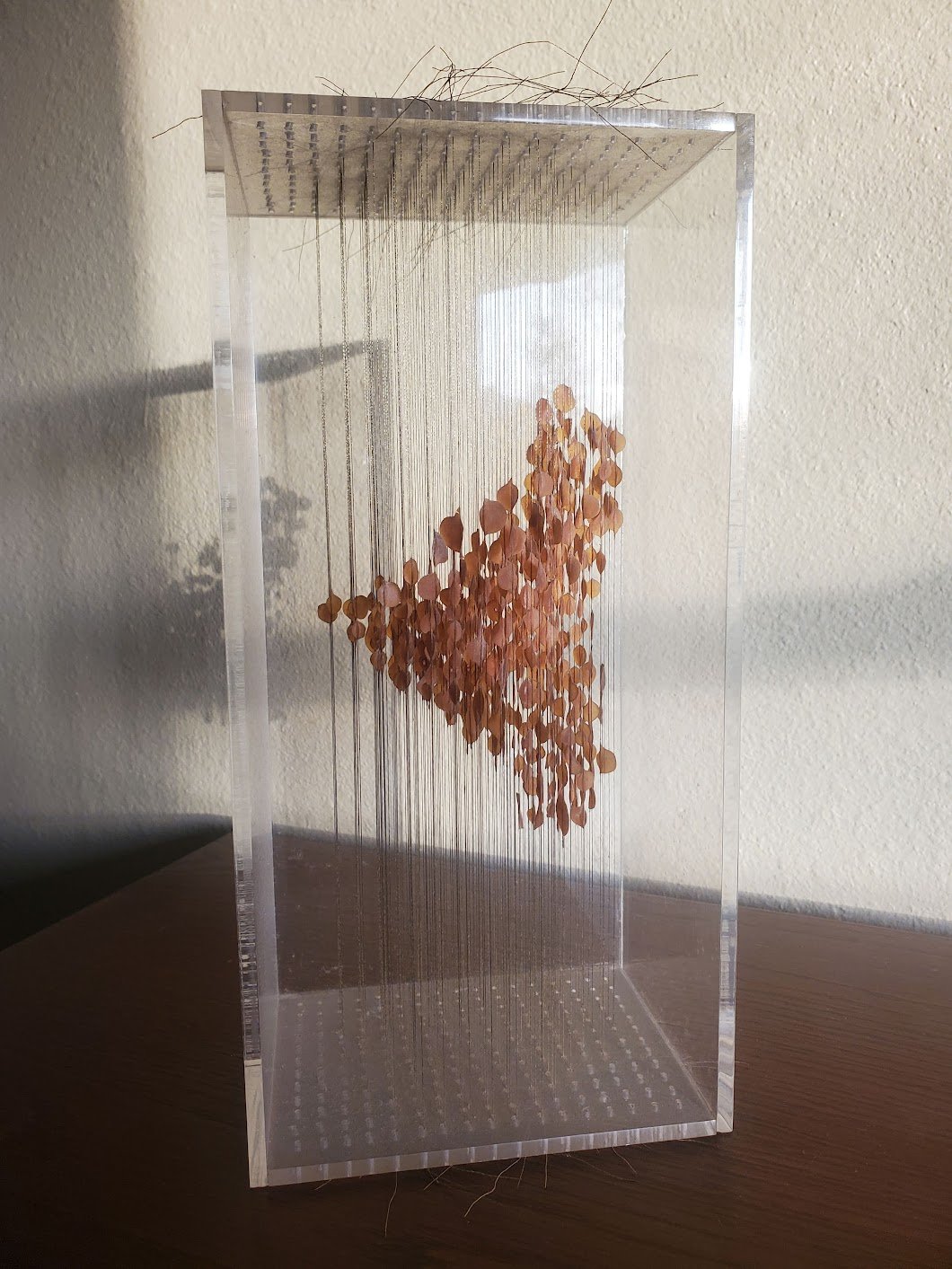 Christina Bell plexiglass sculpture.jpeg
