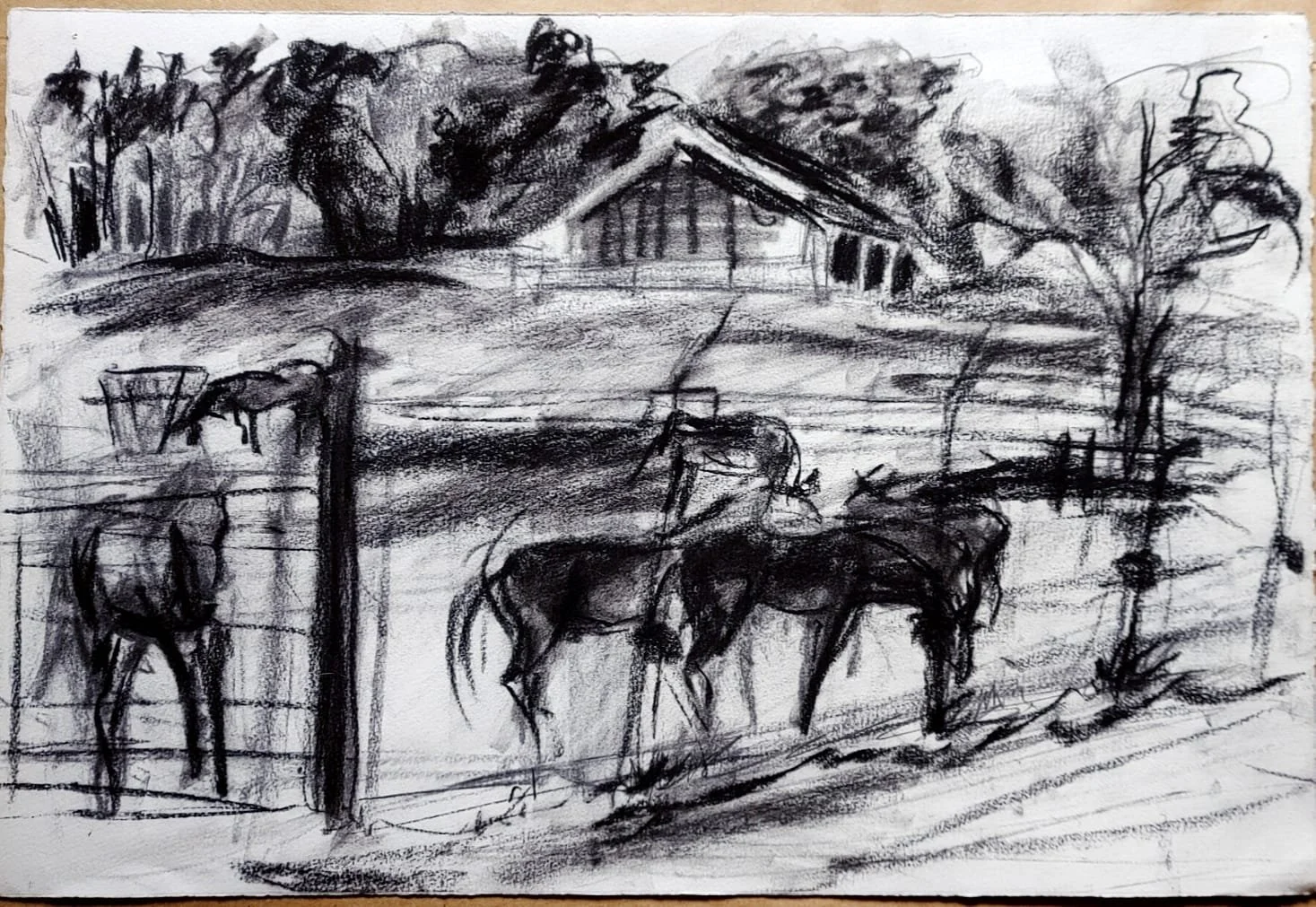 Charcoal drawing of Horses by RTG 1985.jpeg