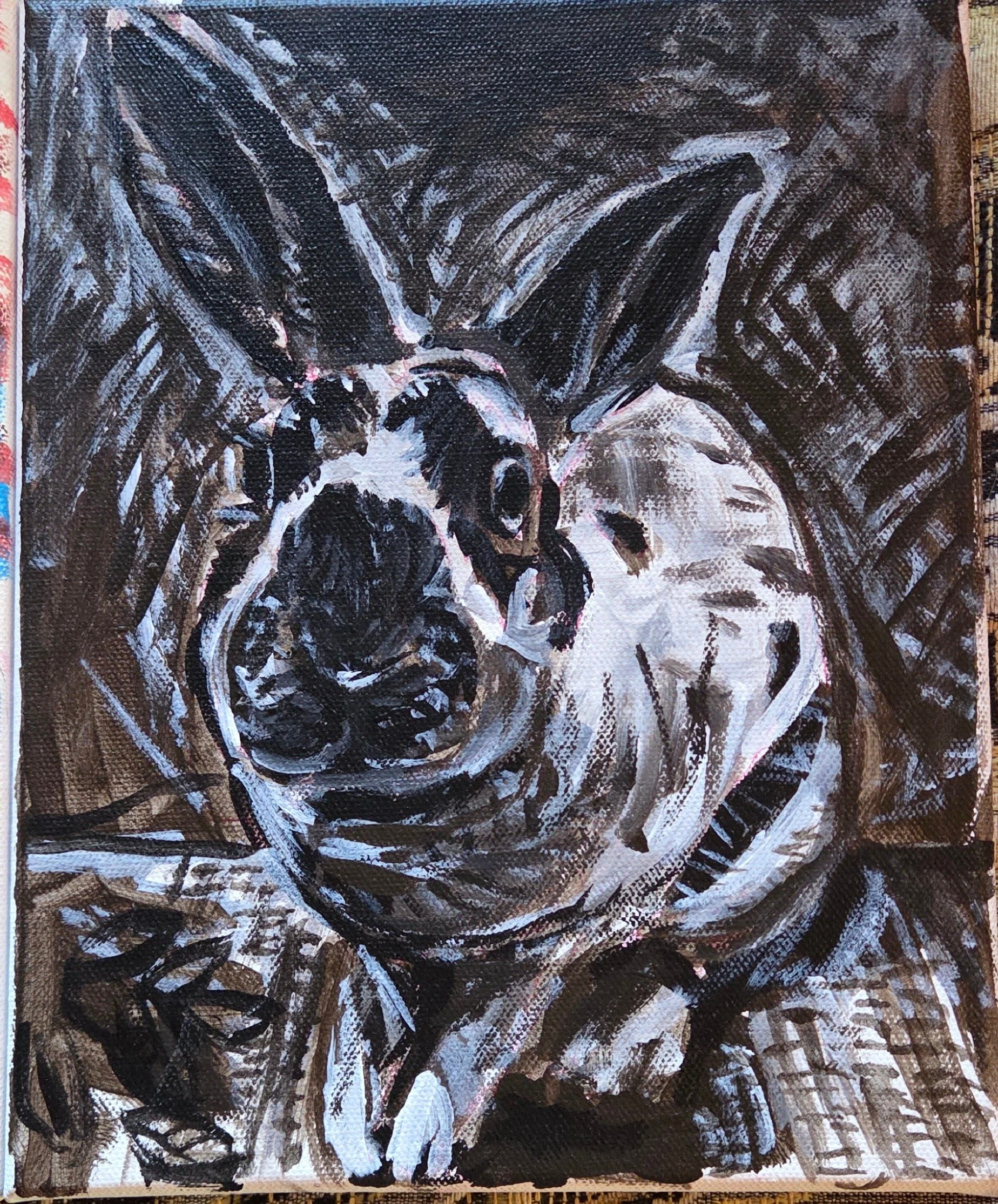 rabbit 2.JPG