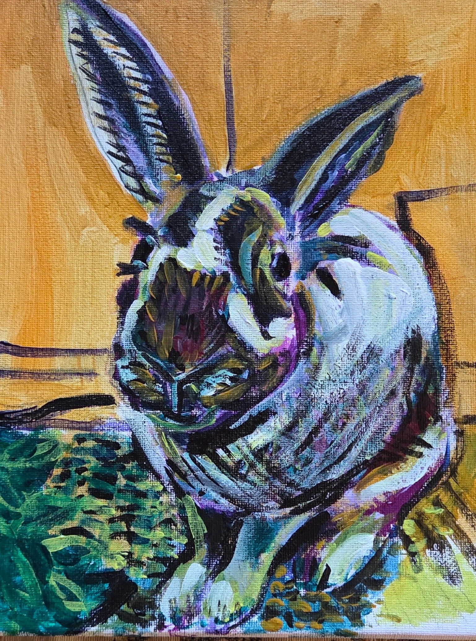 rabbit 1.JPG