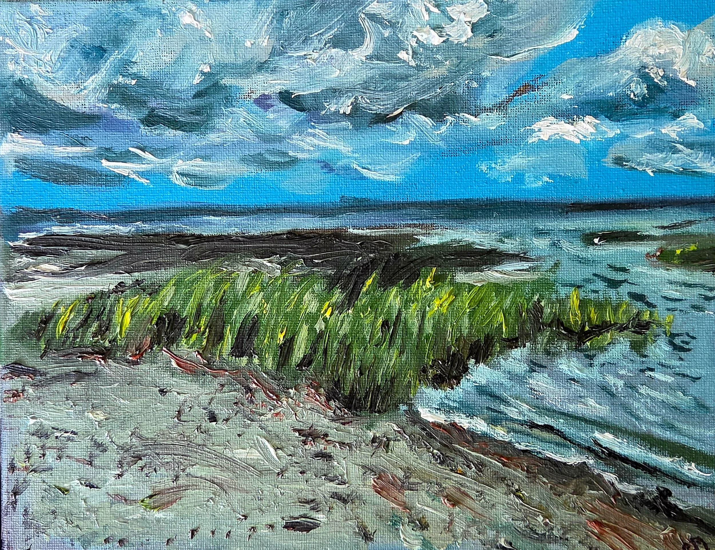 BrewsterBeachGrass.jpg