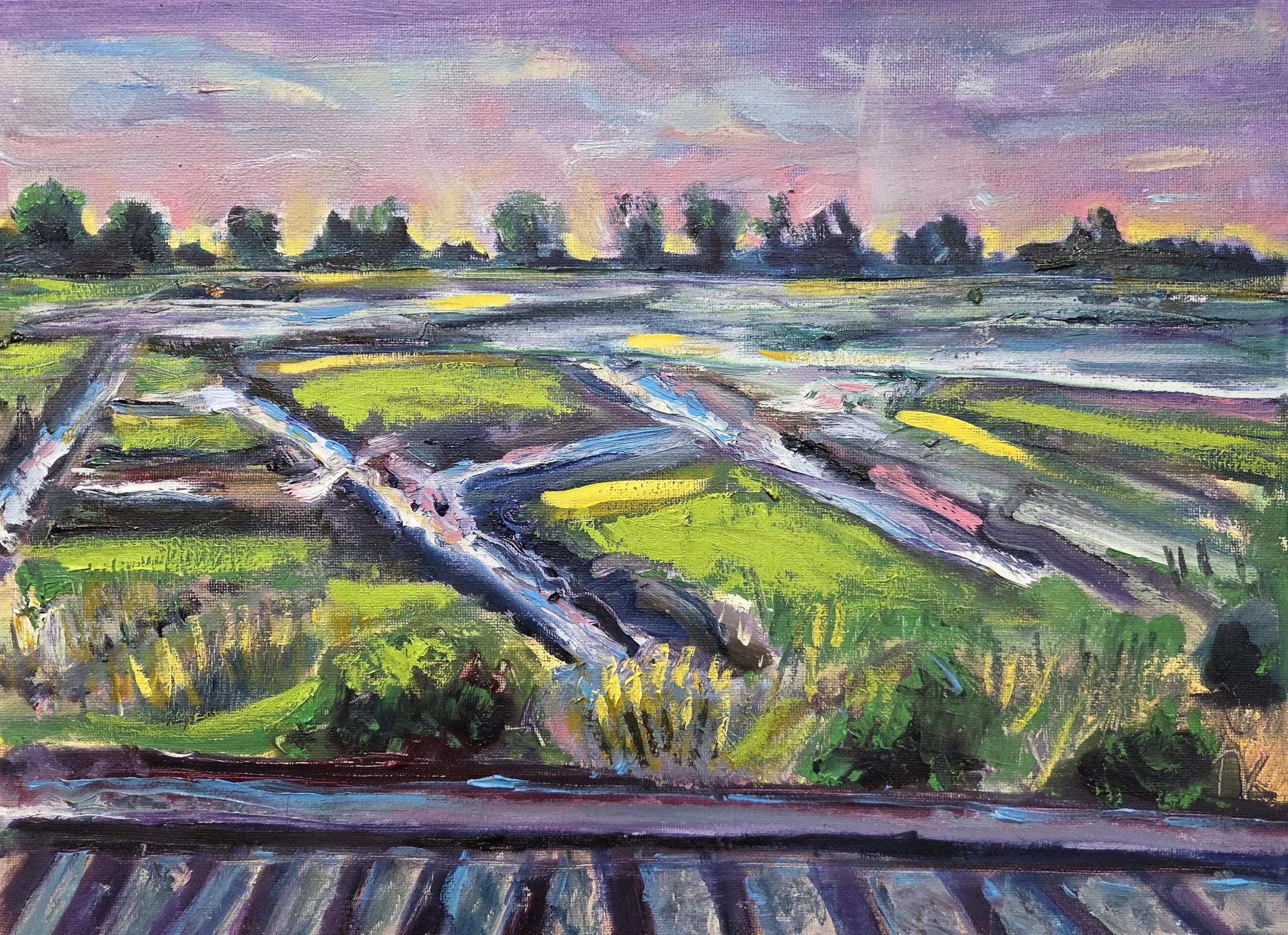 Connecticut Marsh.jpg