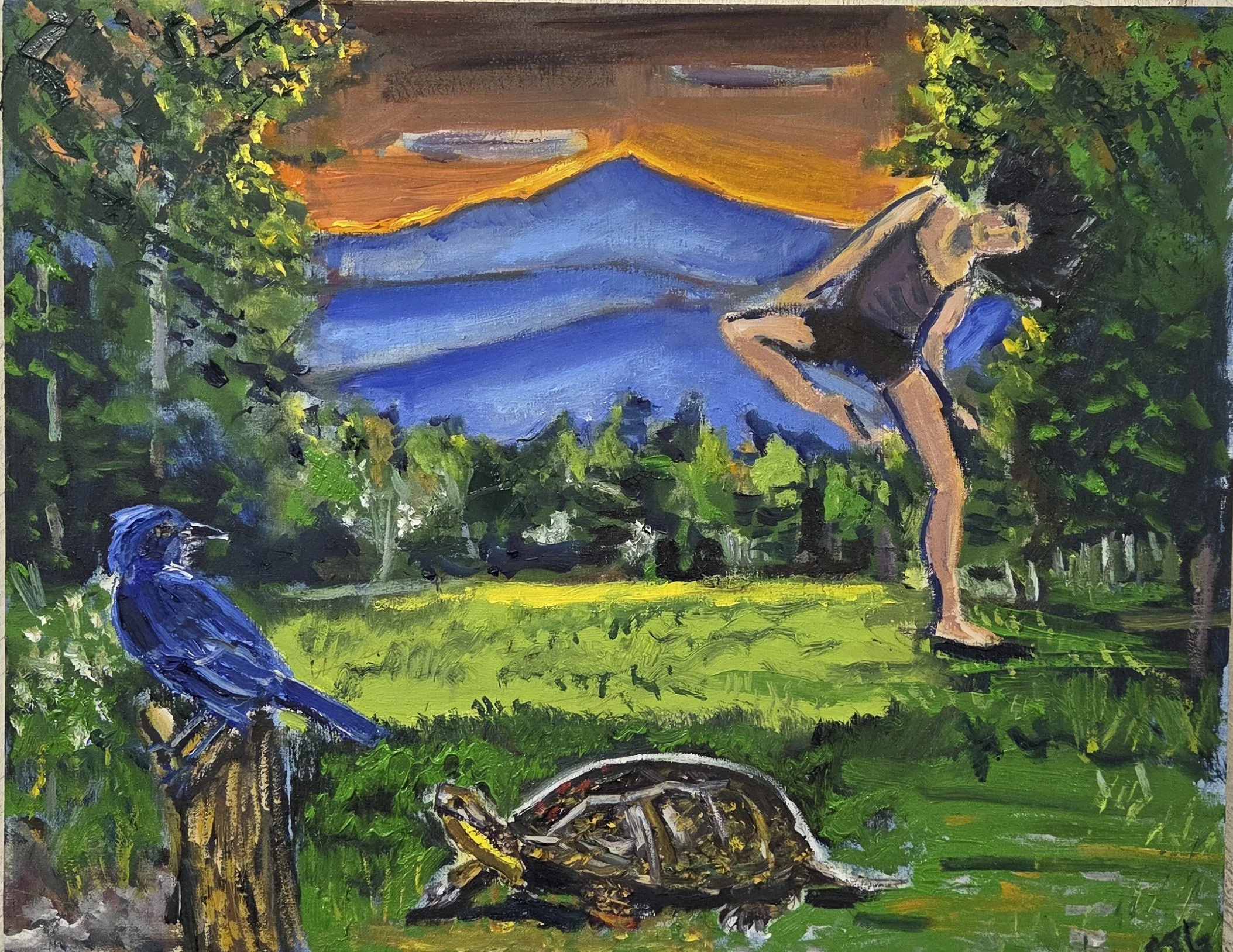 DANCERTURTLEBIRDMOUNTAIN.jpg