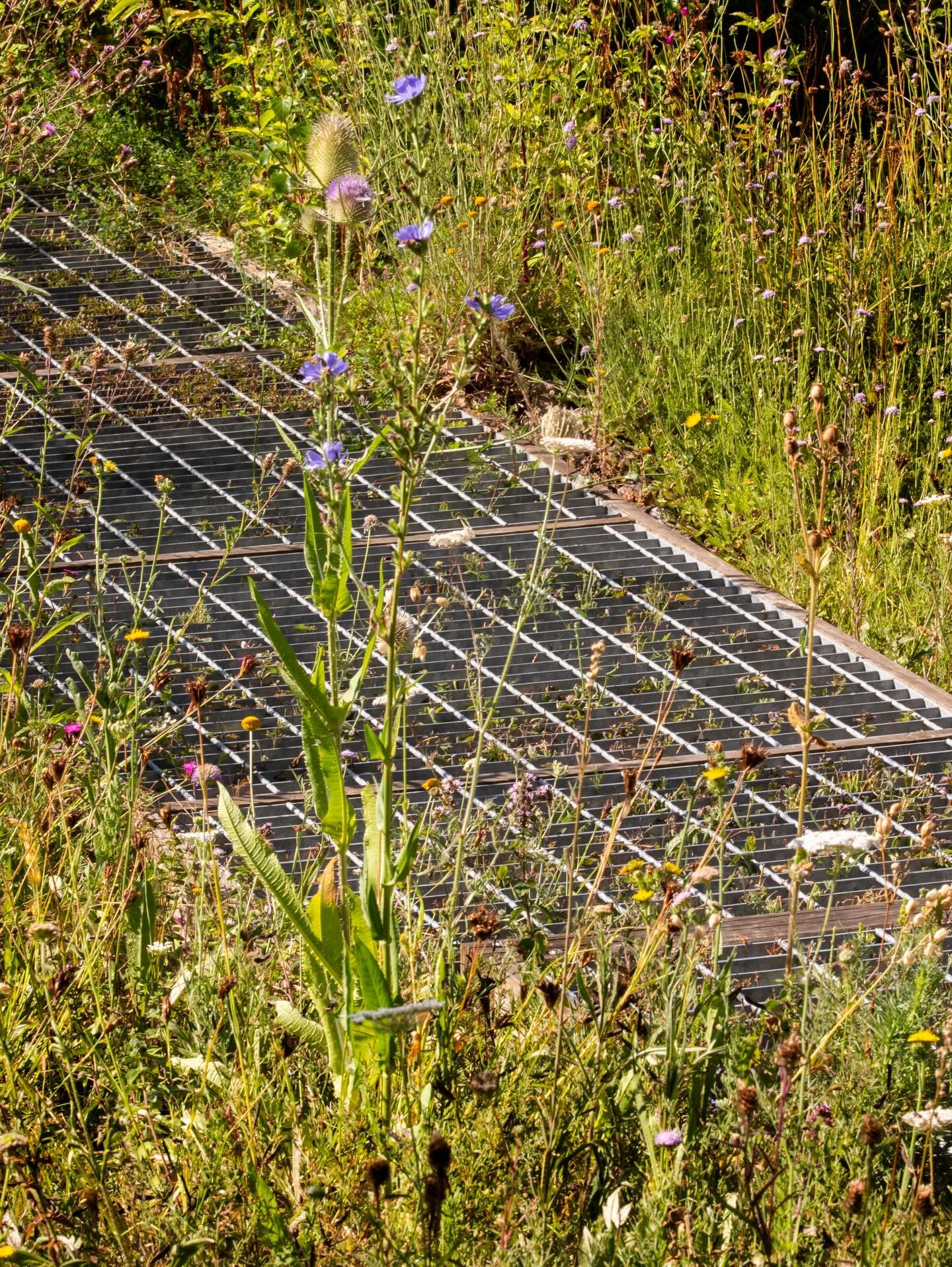 7 hours left to apply for the carenotcapital.org free training. Go to our website and apply. The lunch is amazing and you will have fun.