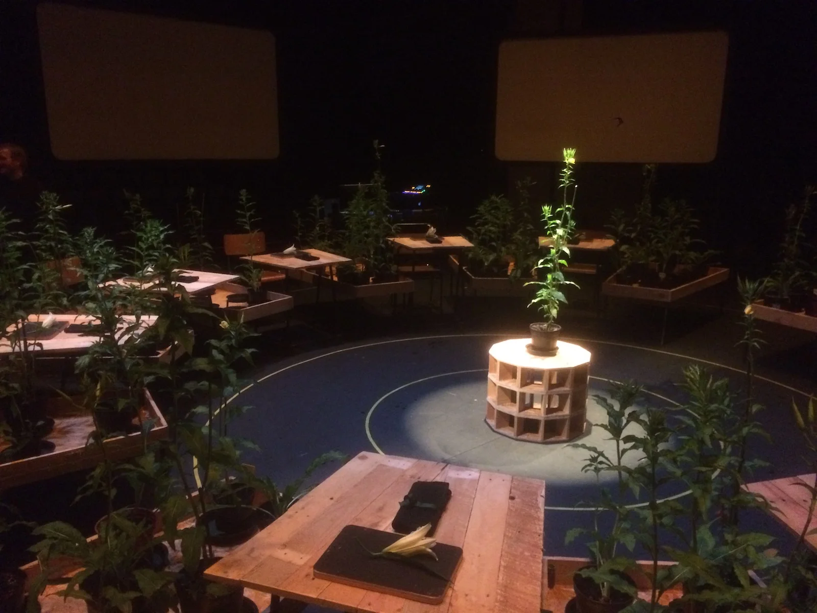 An Evening with Primrose TIN SHED 03