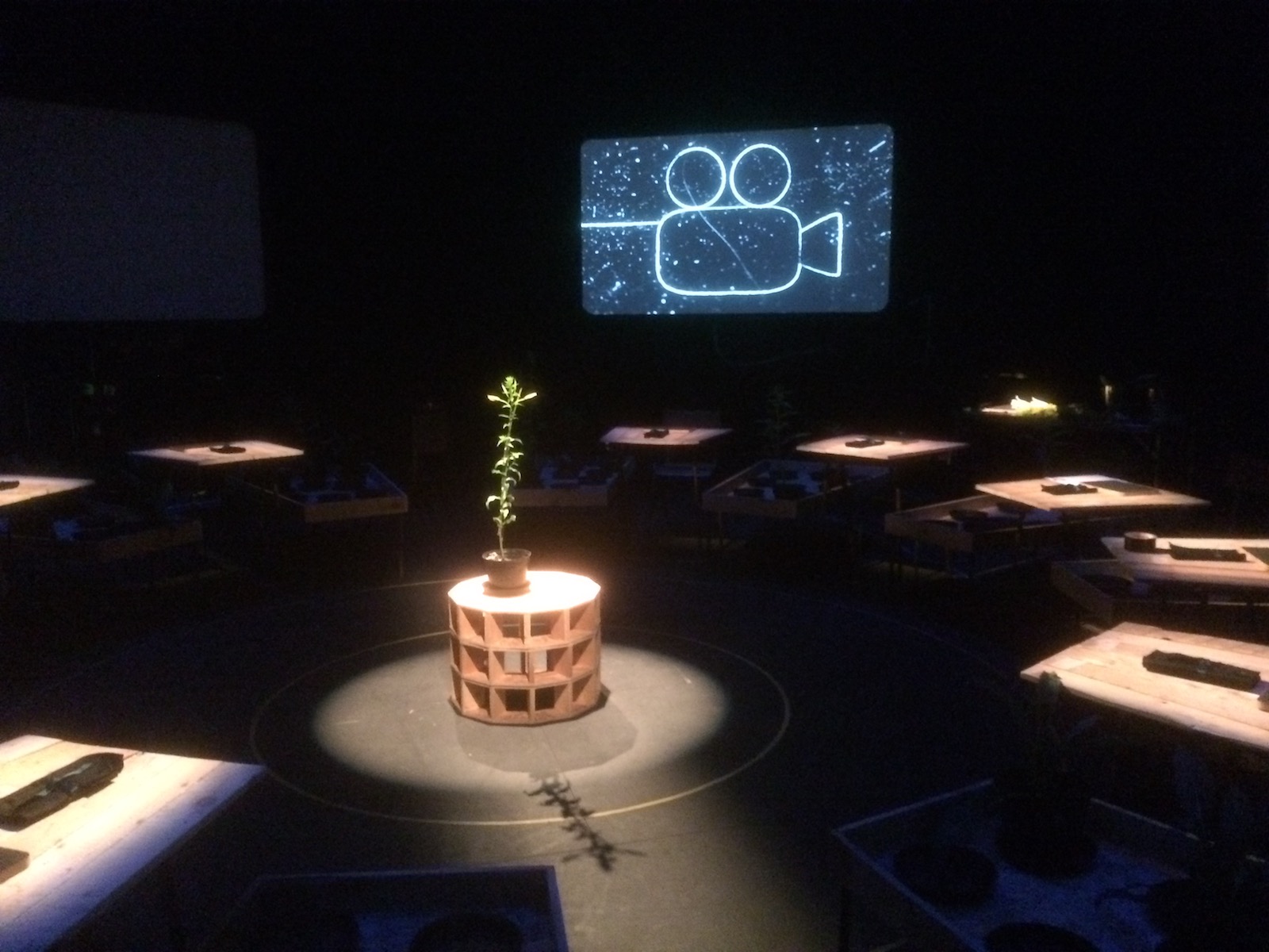 An Evening with Primrose TIN SHED 04