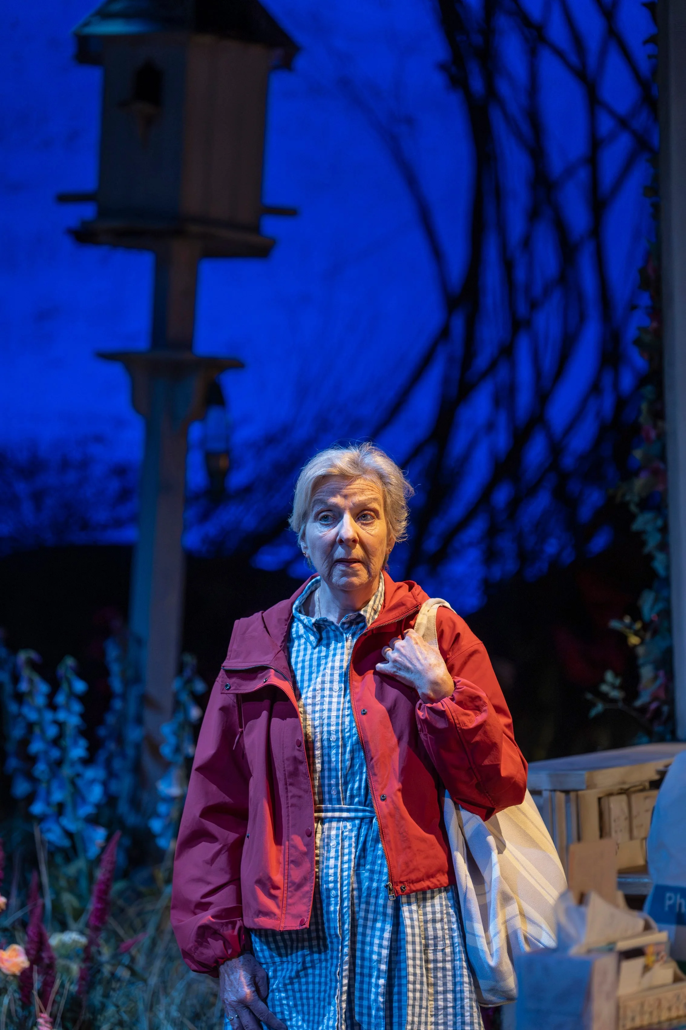 Selina-Cadell-as-Karen-in-Eclipse-at-Chichester-Festival-Theatre-Photo-Ellie-Kurttz_206.JPG