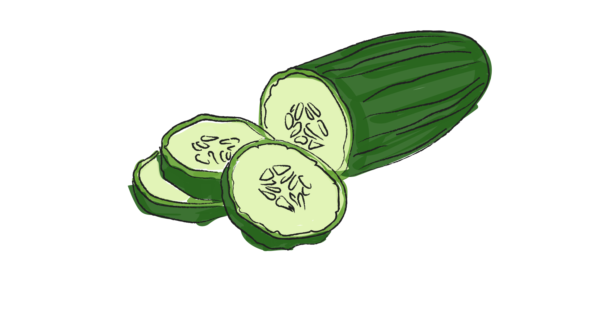 cucumber-01.png