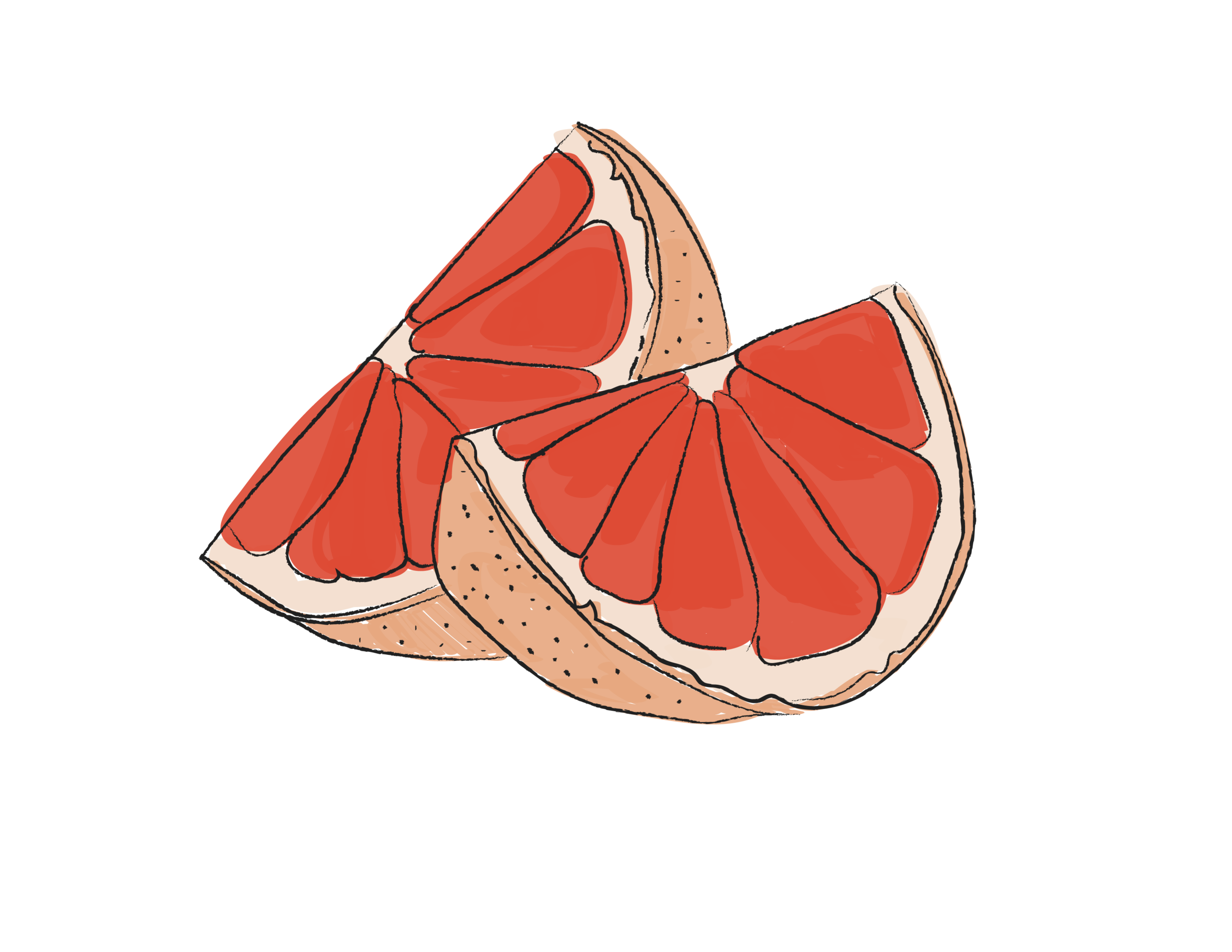grapefruit-01.png