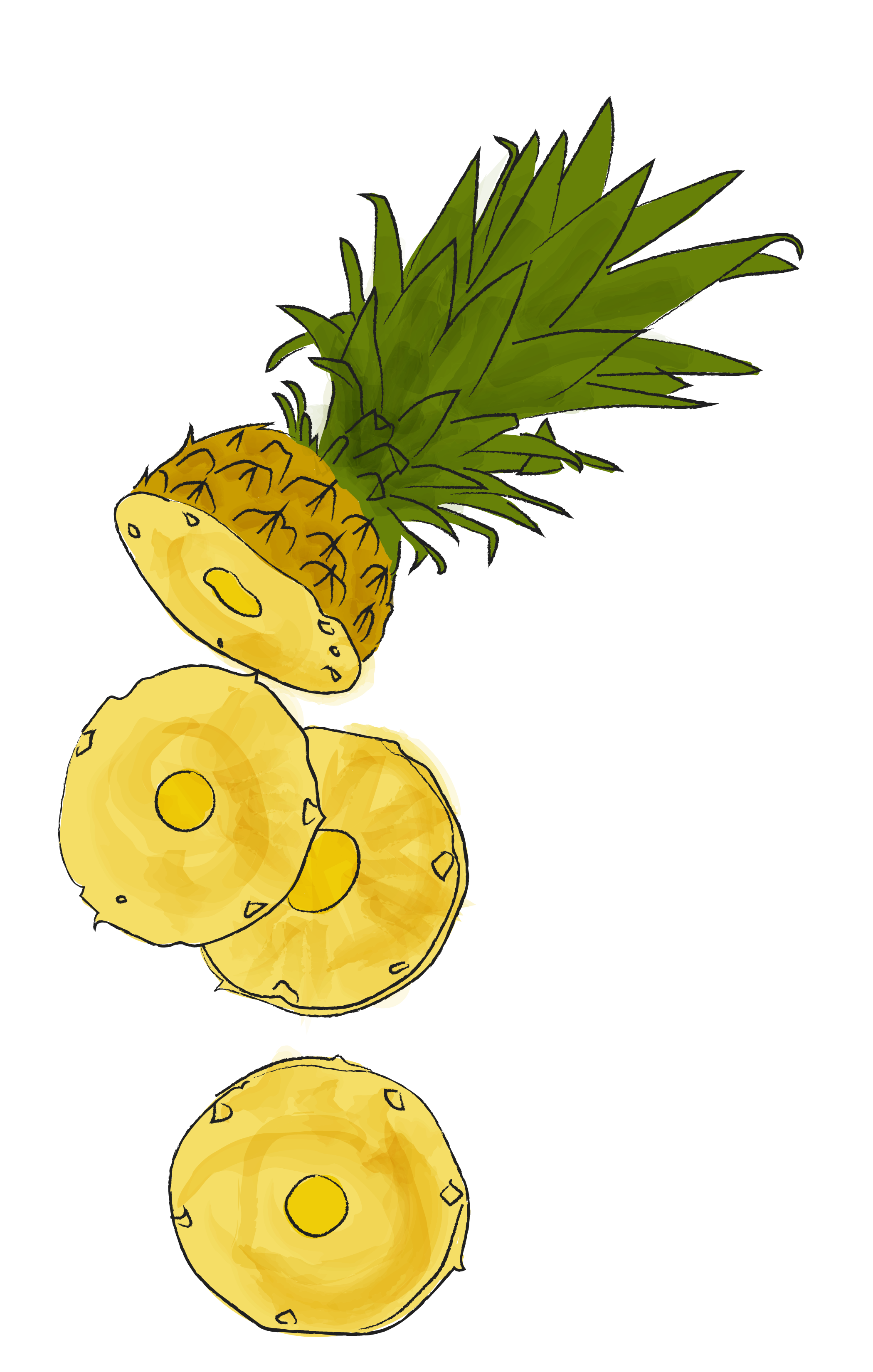 pineapple-01.png