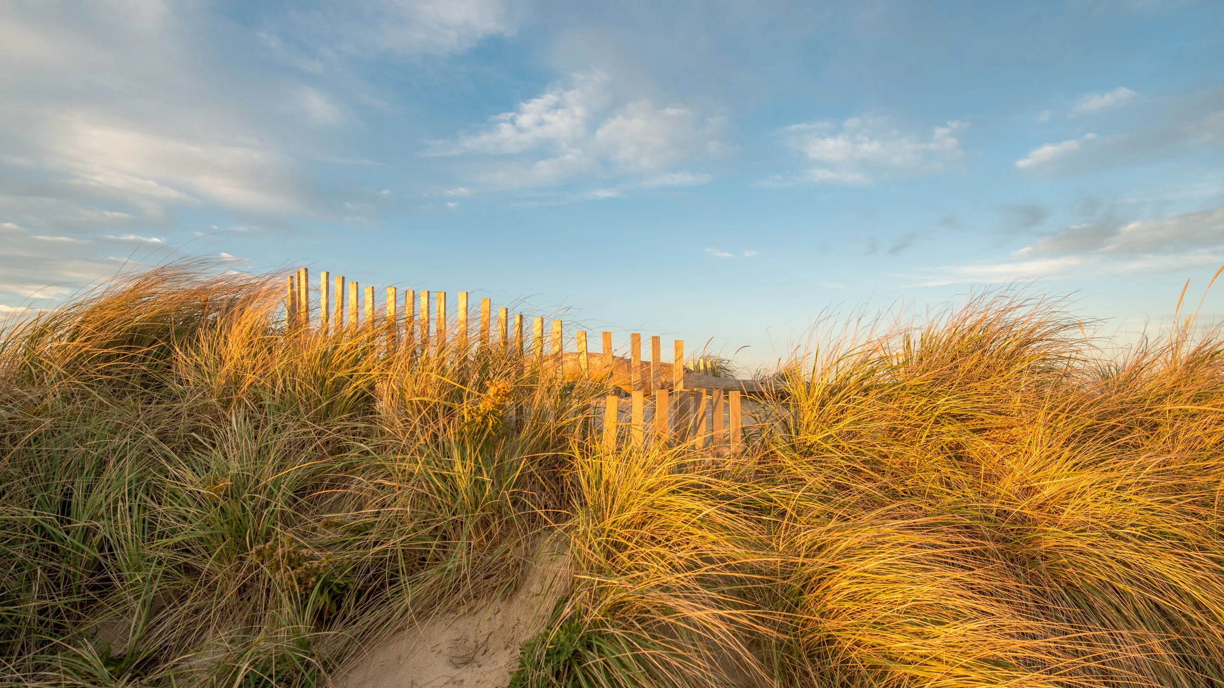 Fall Dunes in Golden Light (GH)-1.jpg