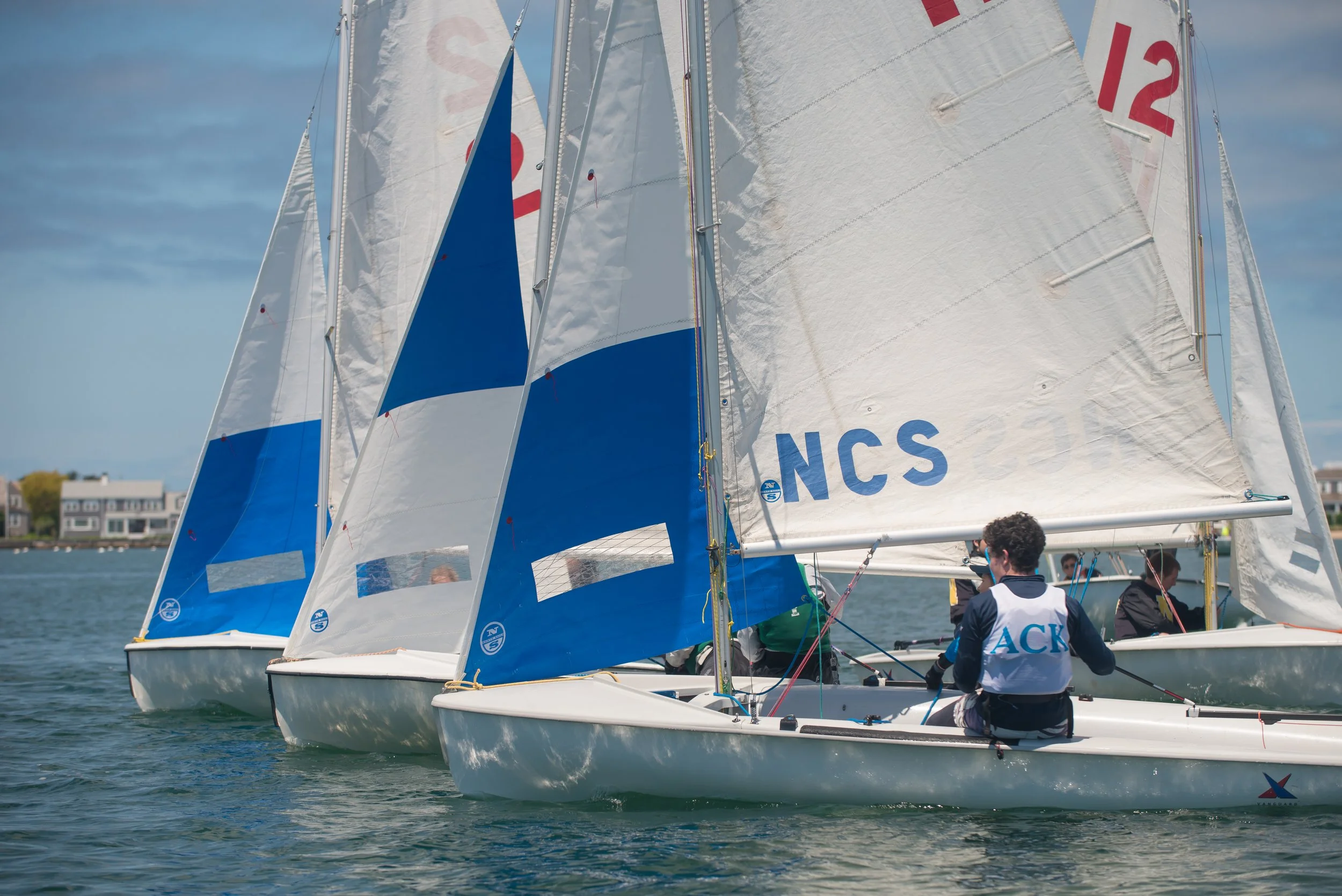 Harbor Regatta (GH).jpg