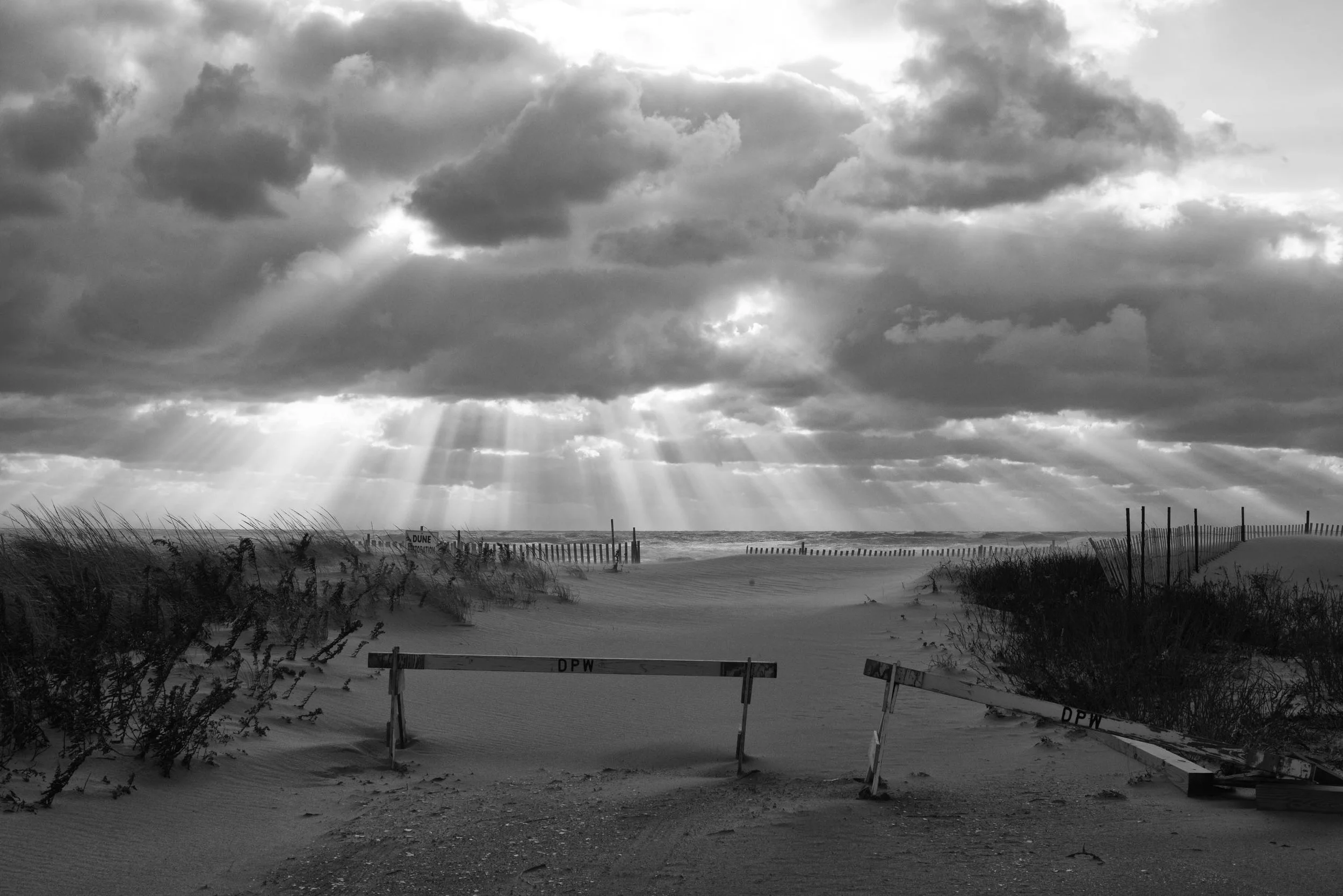_JAH0809-Edit.jpg