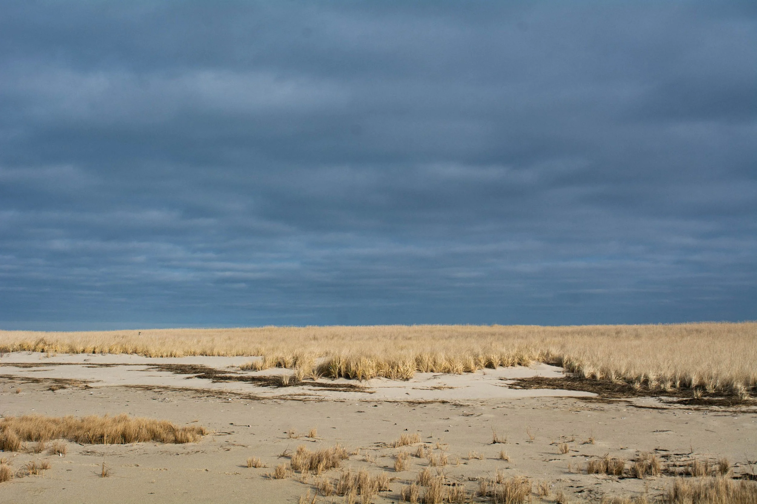 DSC_1611-Edit.jpg